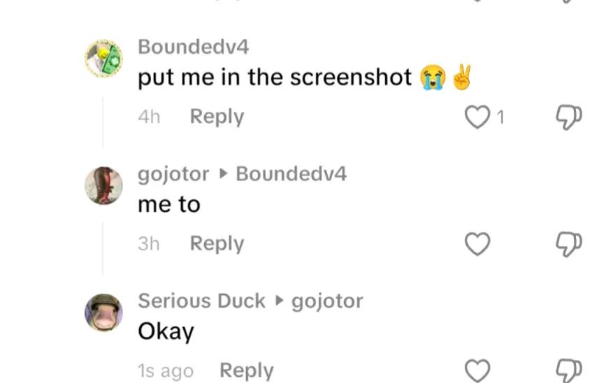 @Serious Duck