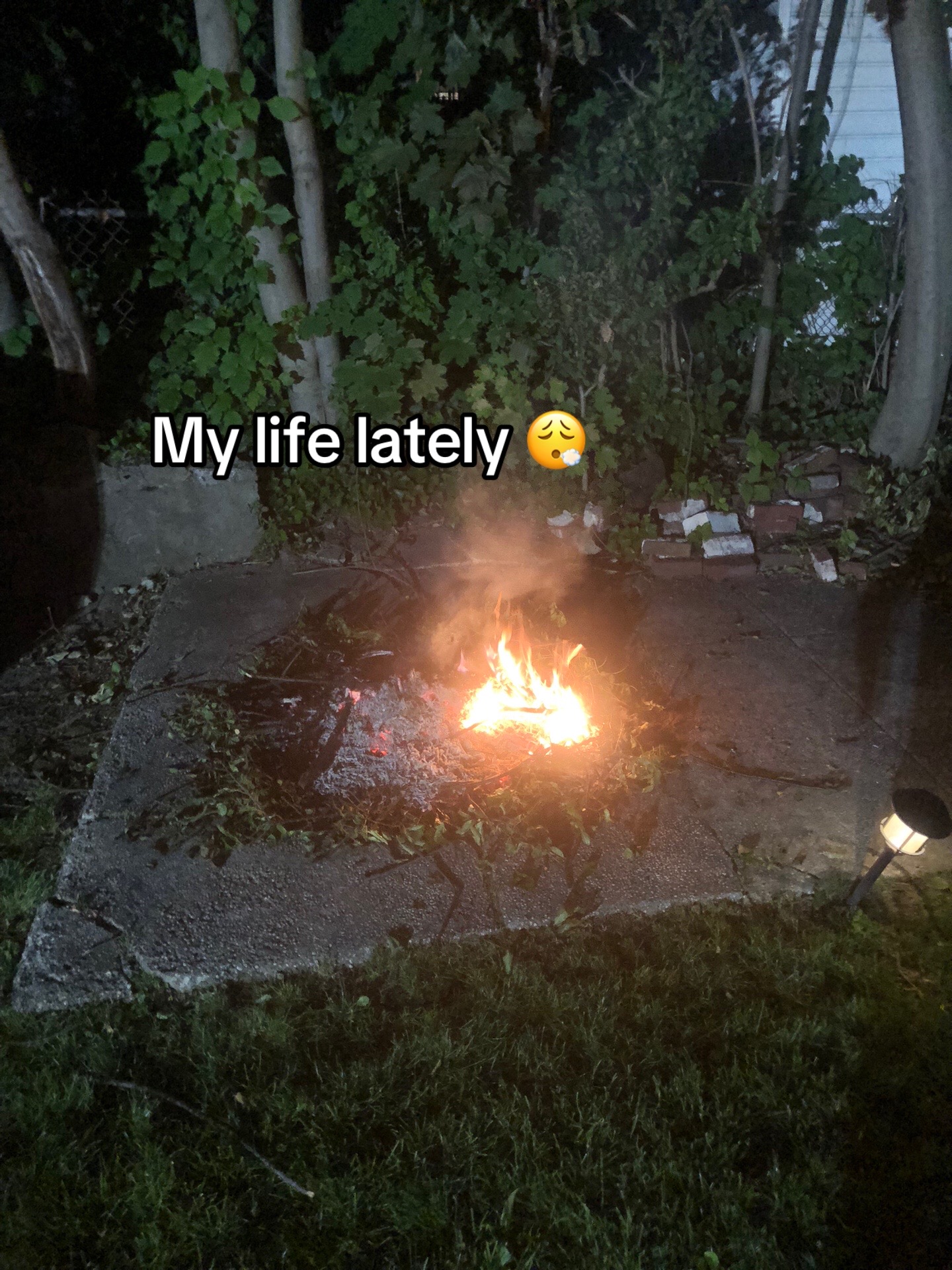 @whostht._.p.a.i.n