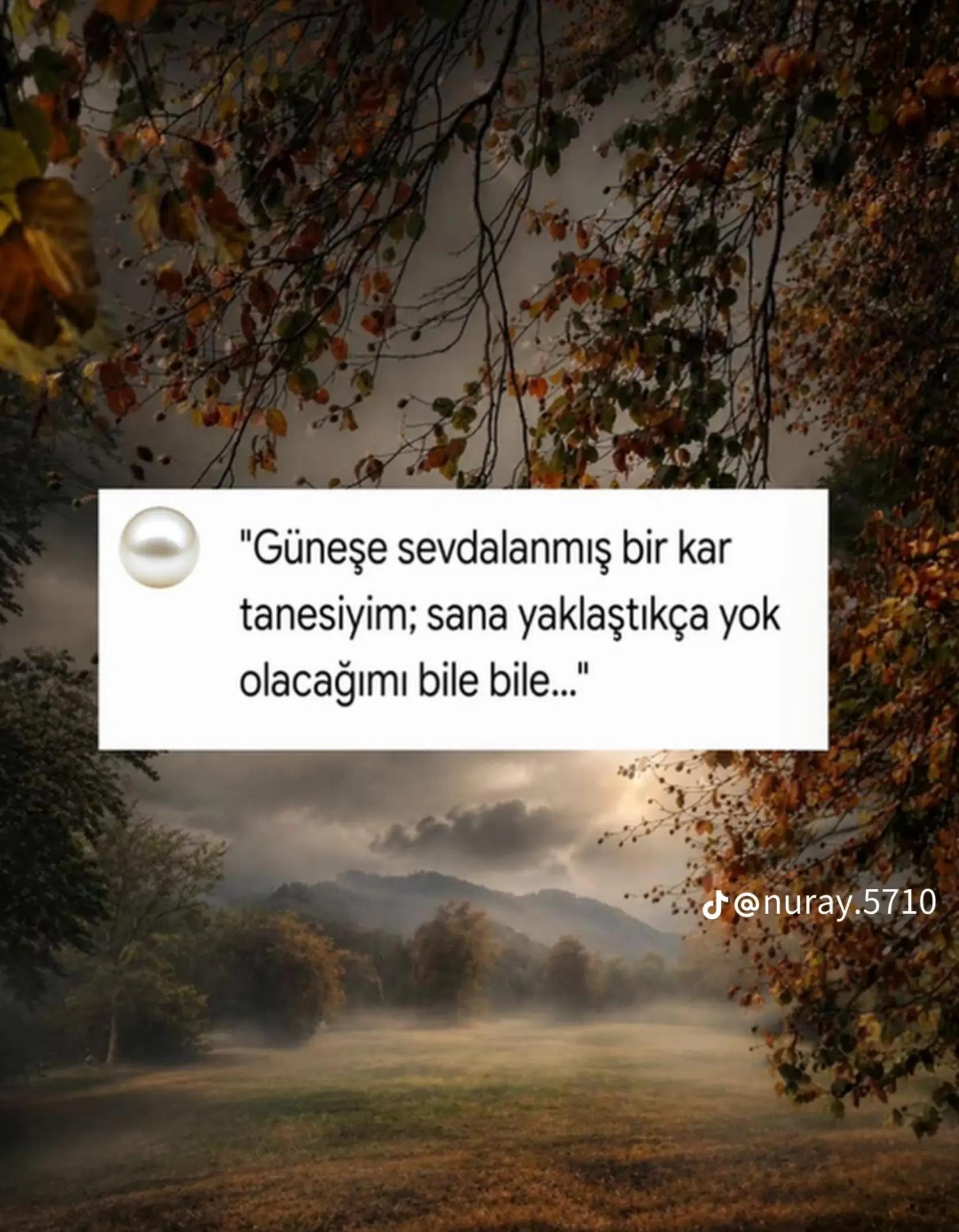 @🇹🇷Şamil_1987🇹🇷