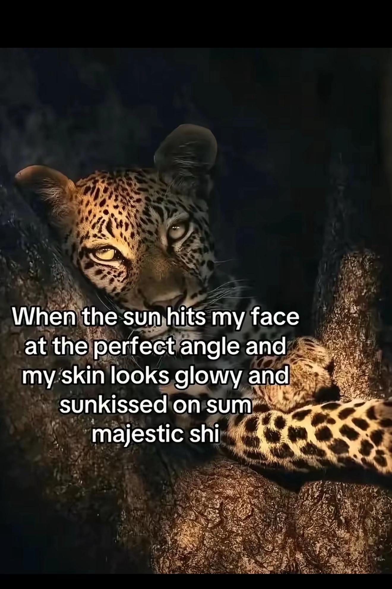 @lixycle