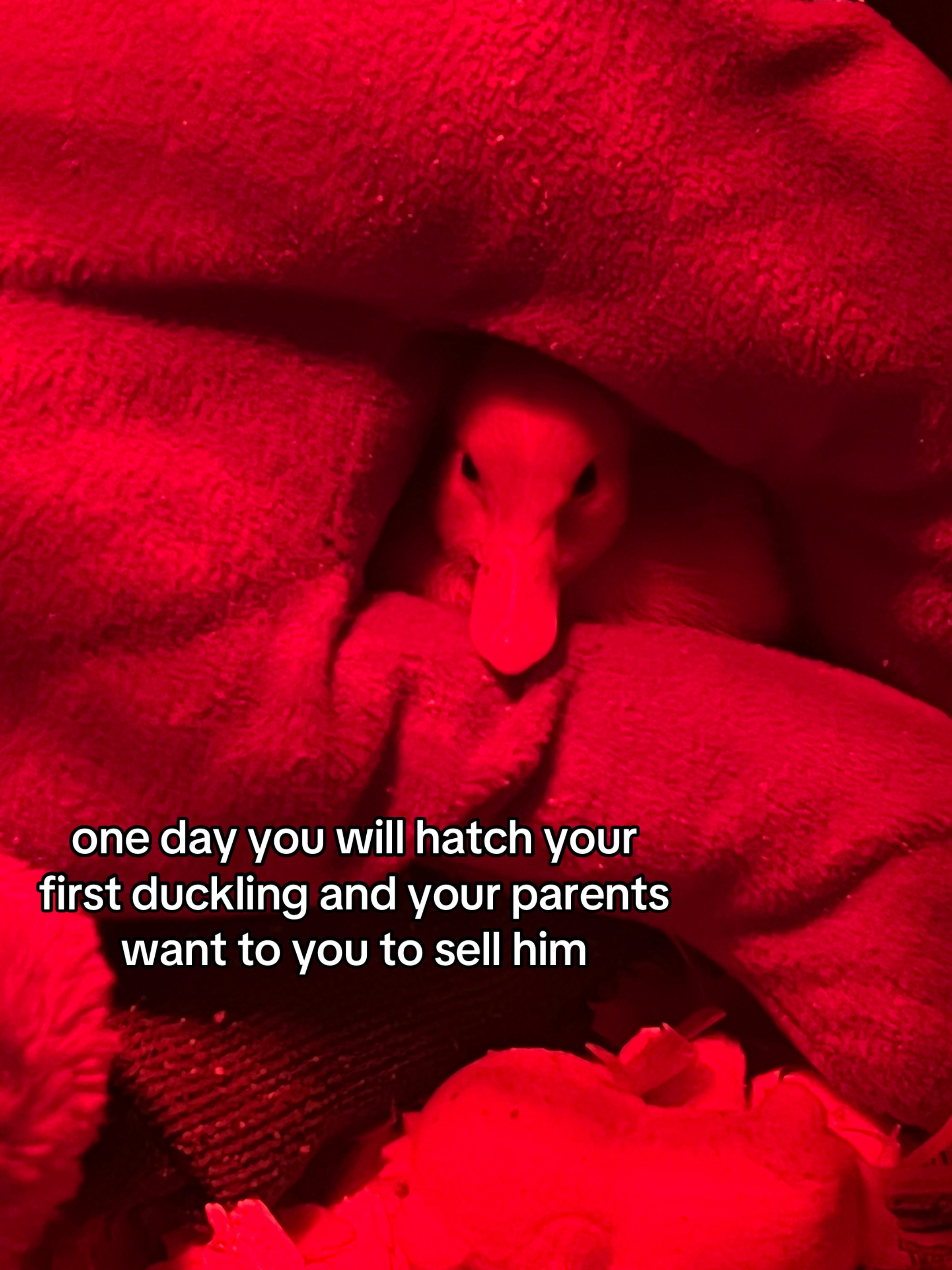 @๐