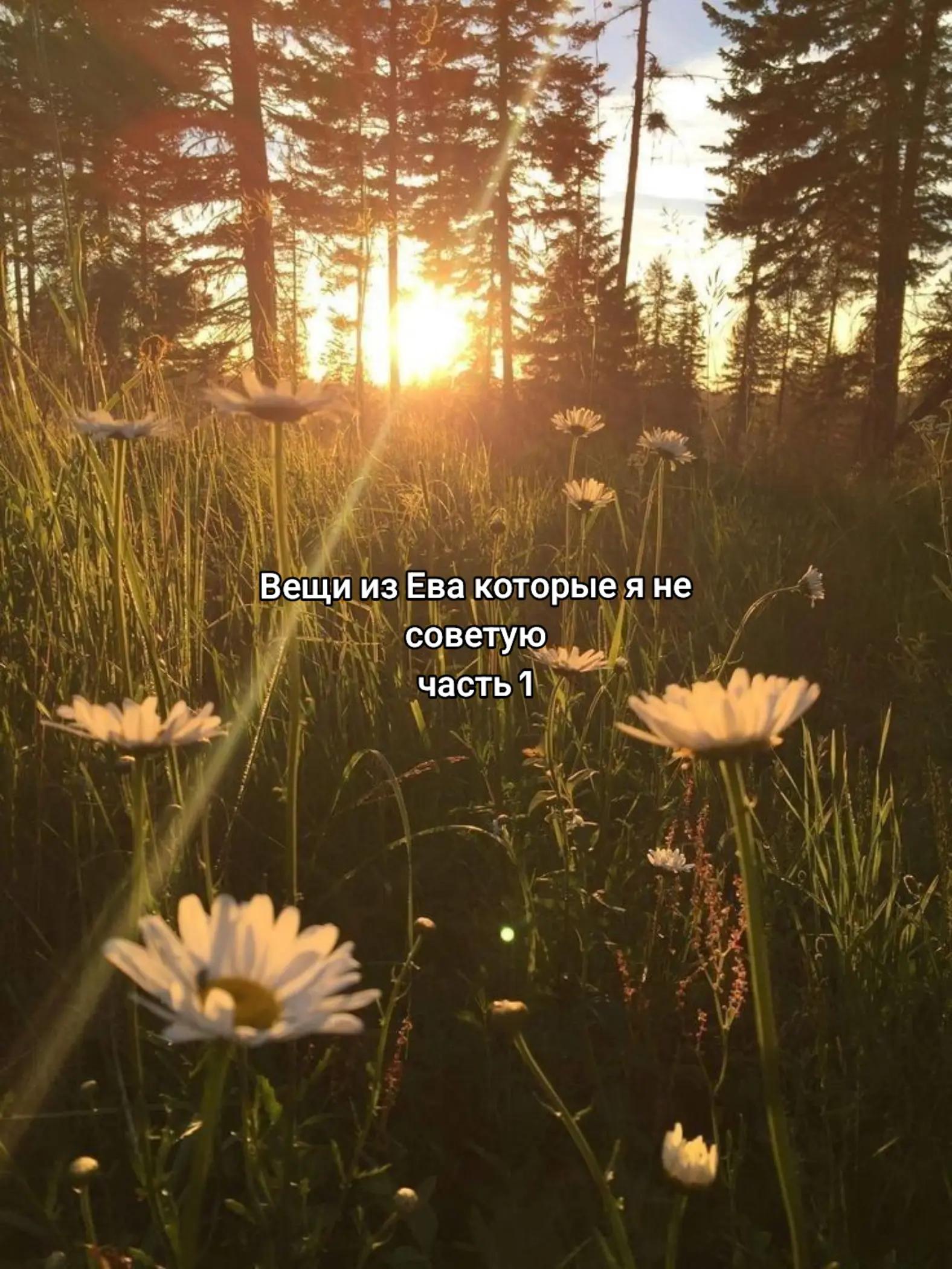 @не саша бьюти✨