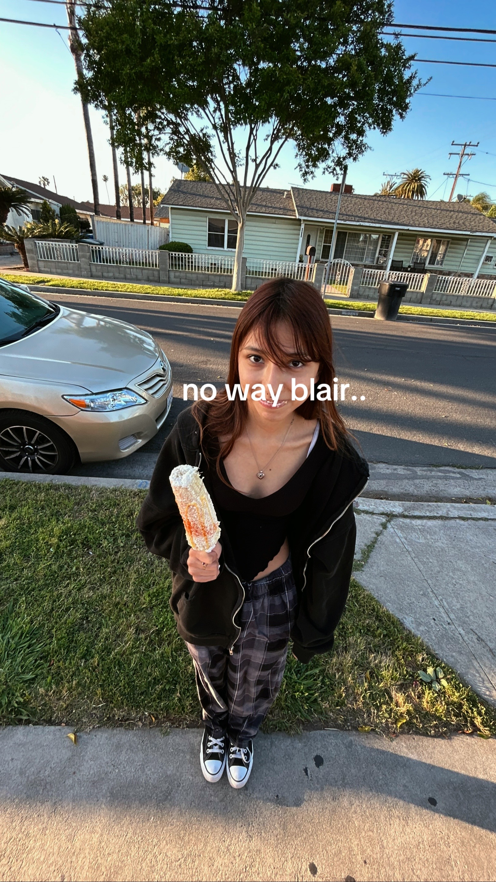 @silva