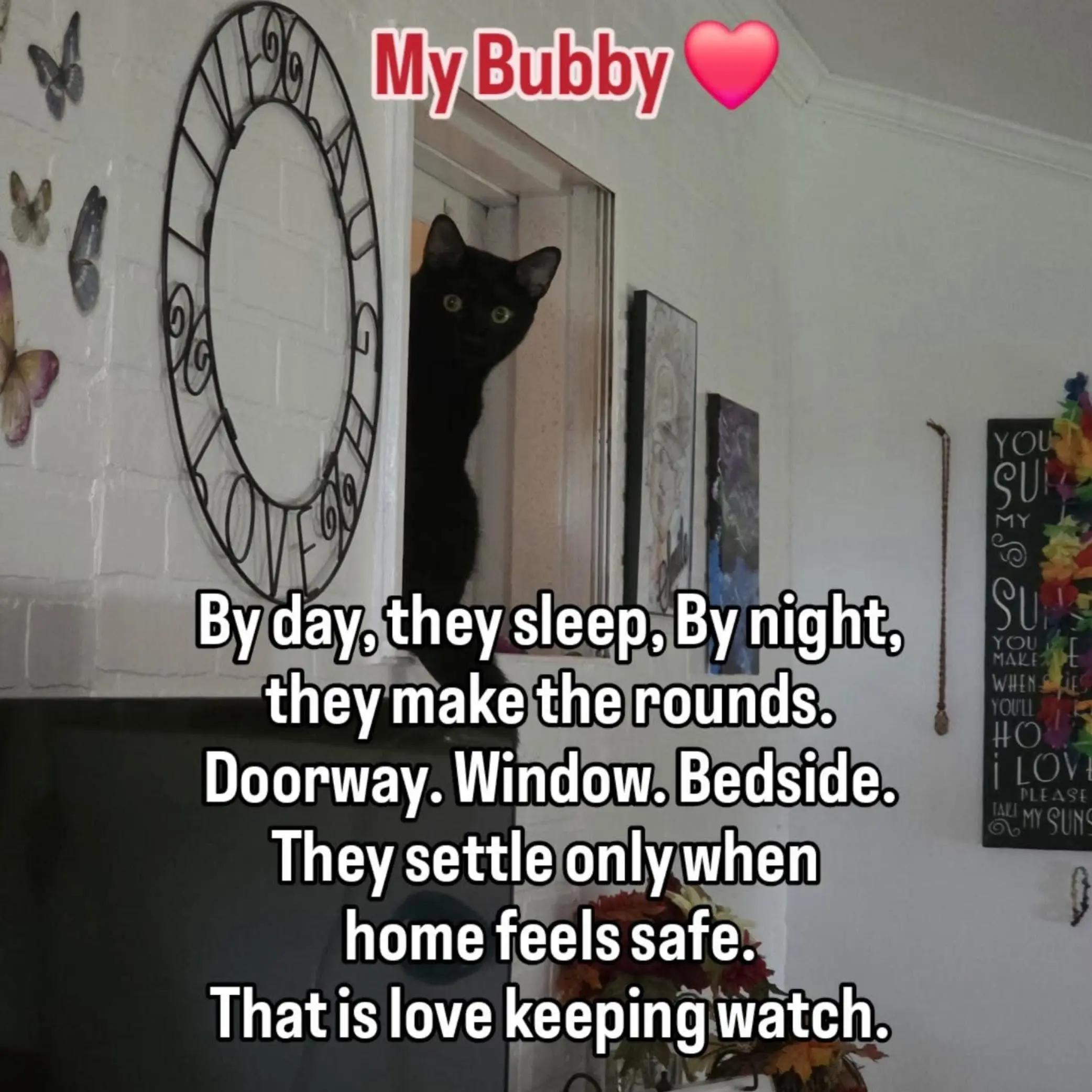 @🌈Lisiesvybez🤗