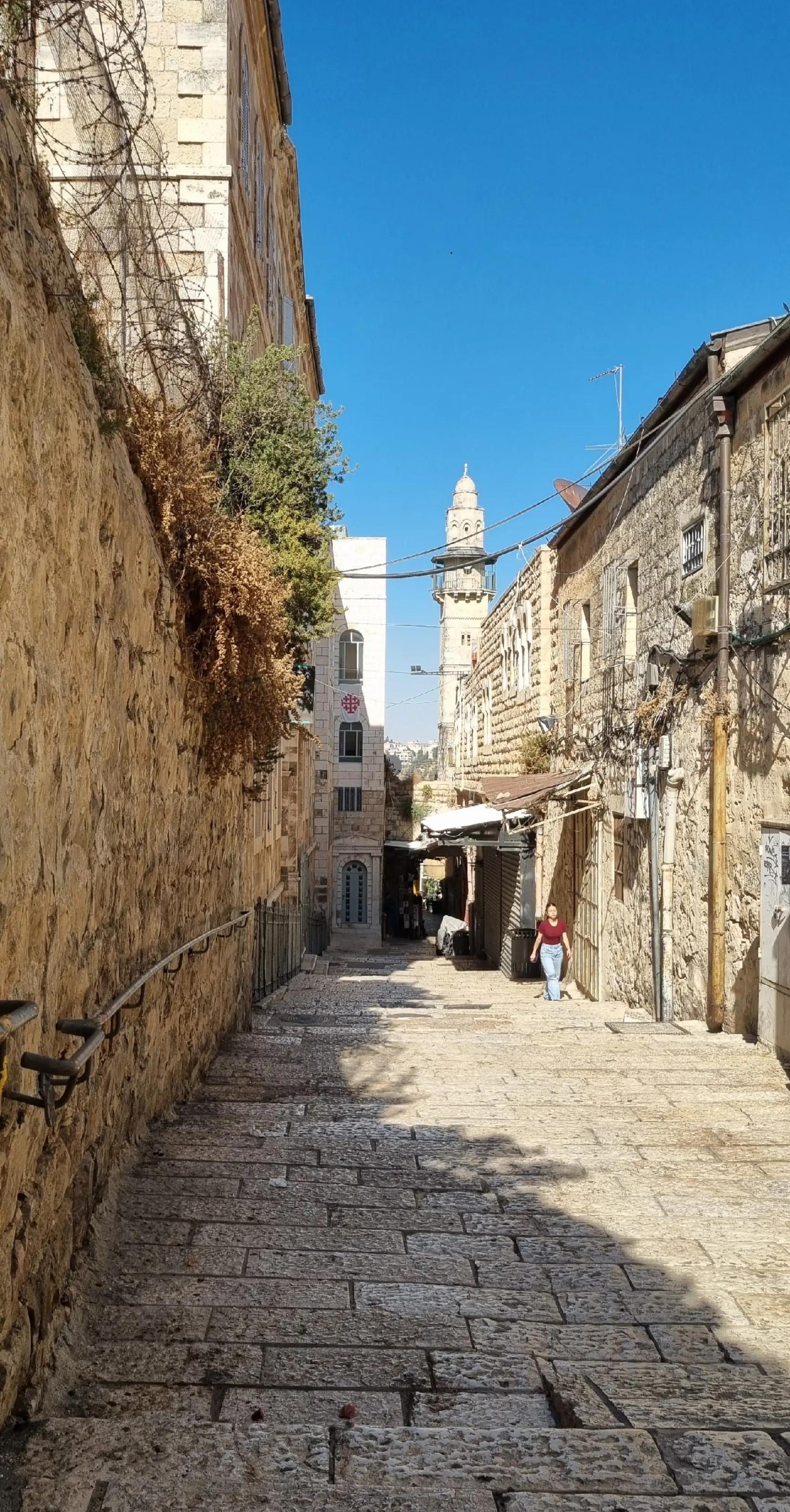 @פורטל הכרמל , emily halabi