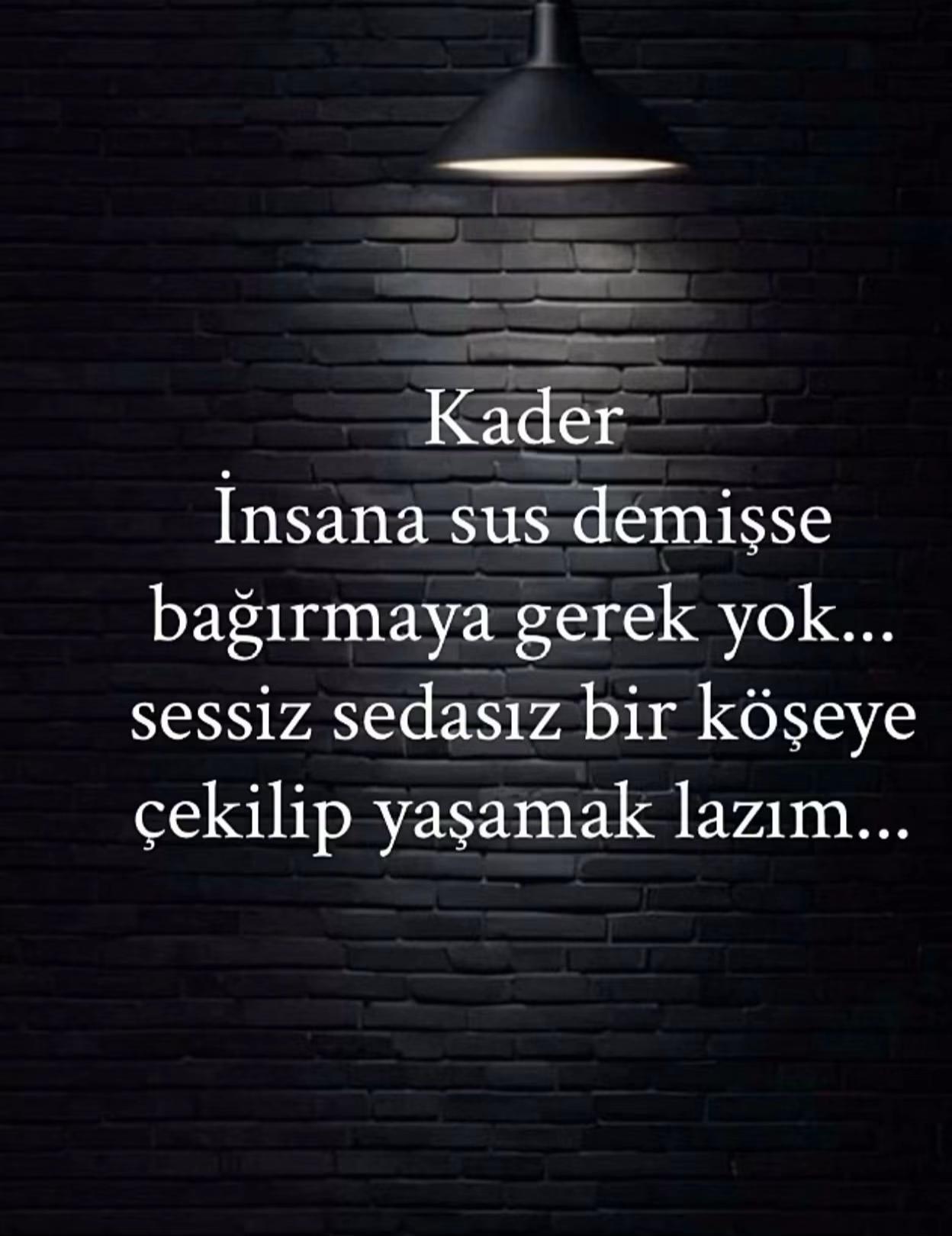 @48 Krall Lionn
