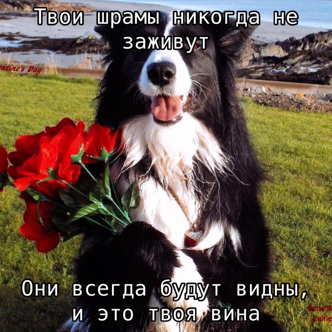 @Нытик