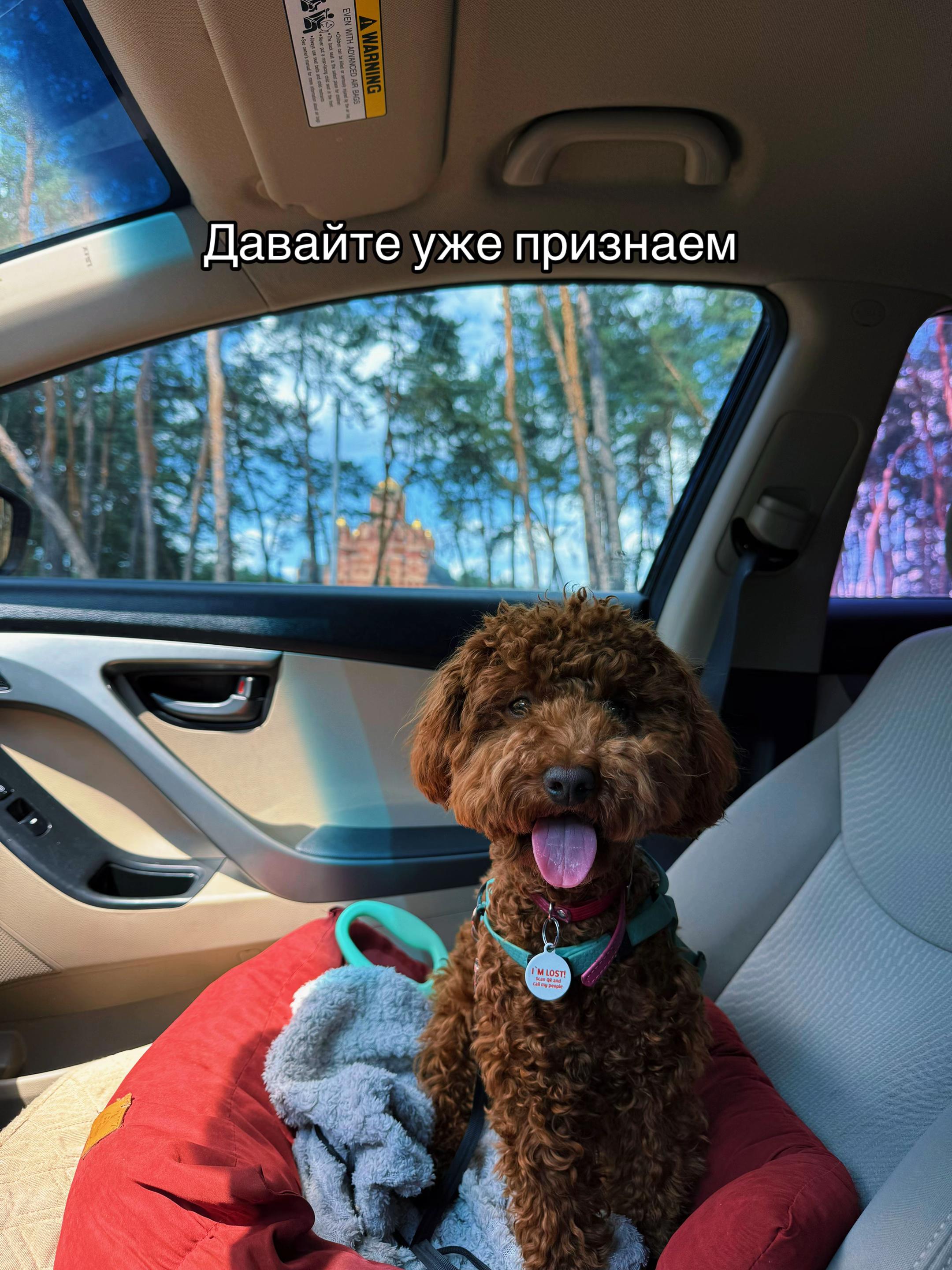 @Диана