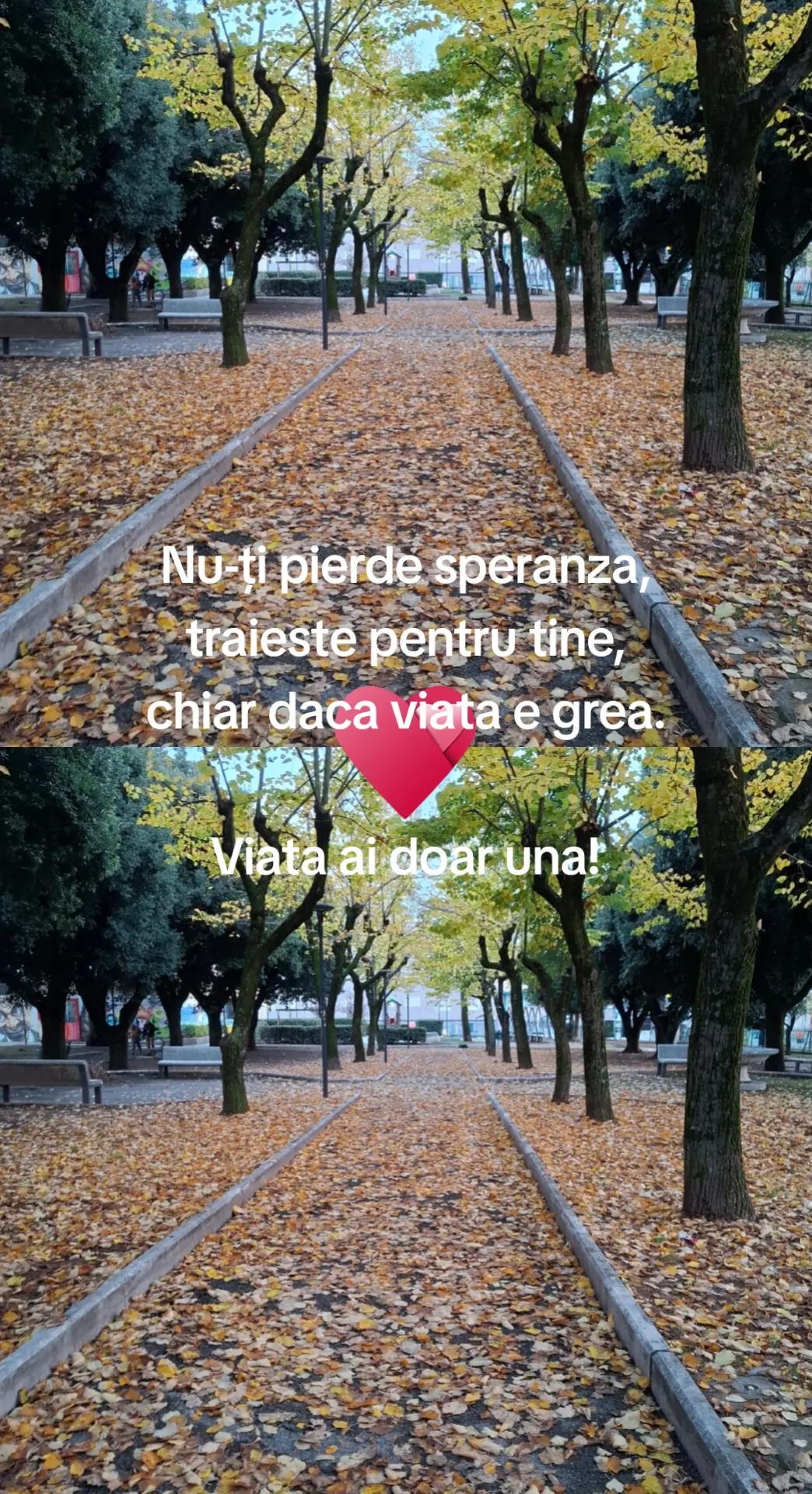 @Monica Popa