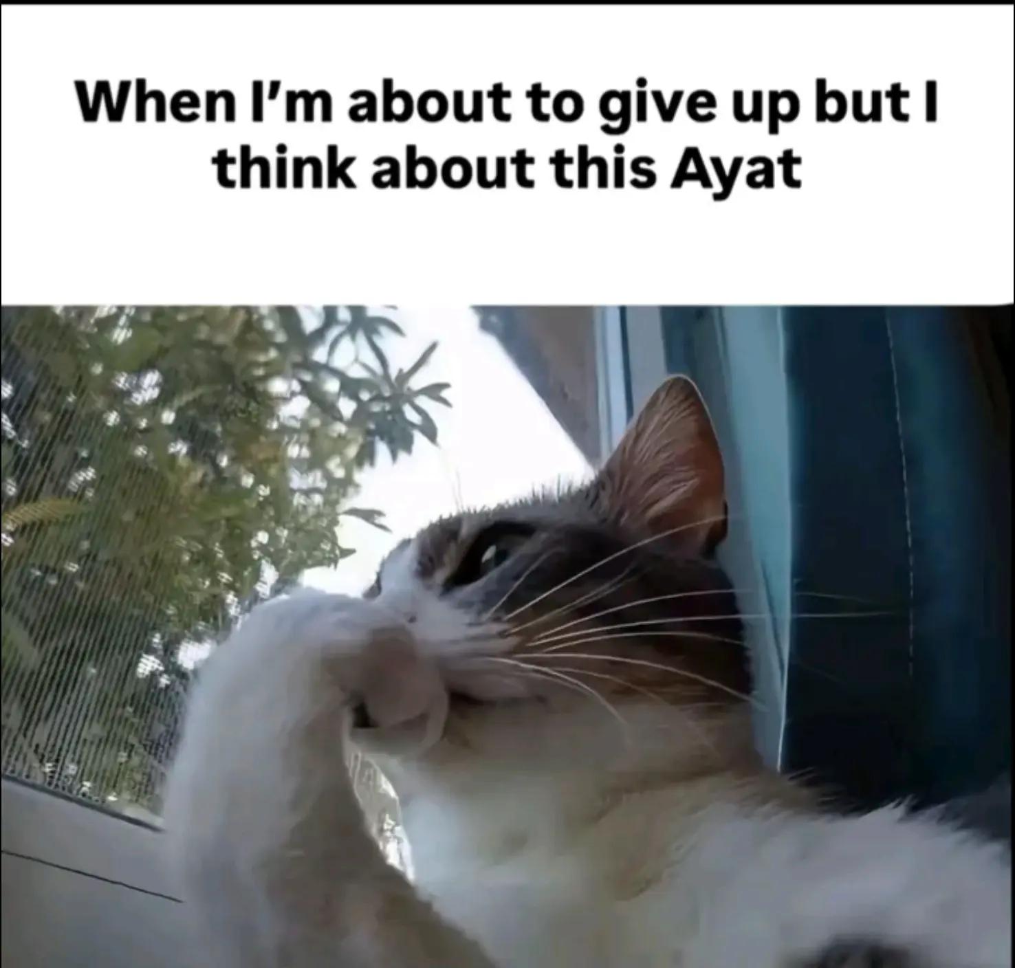 @🦋حواء&nbsp;🦋📿