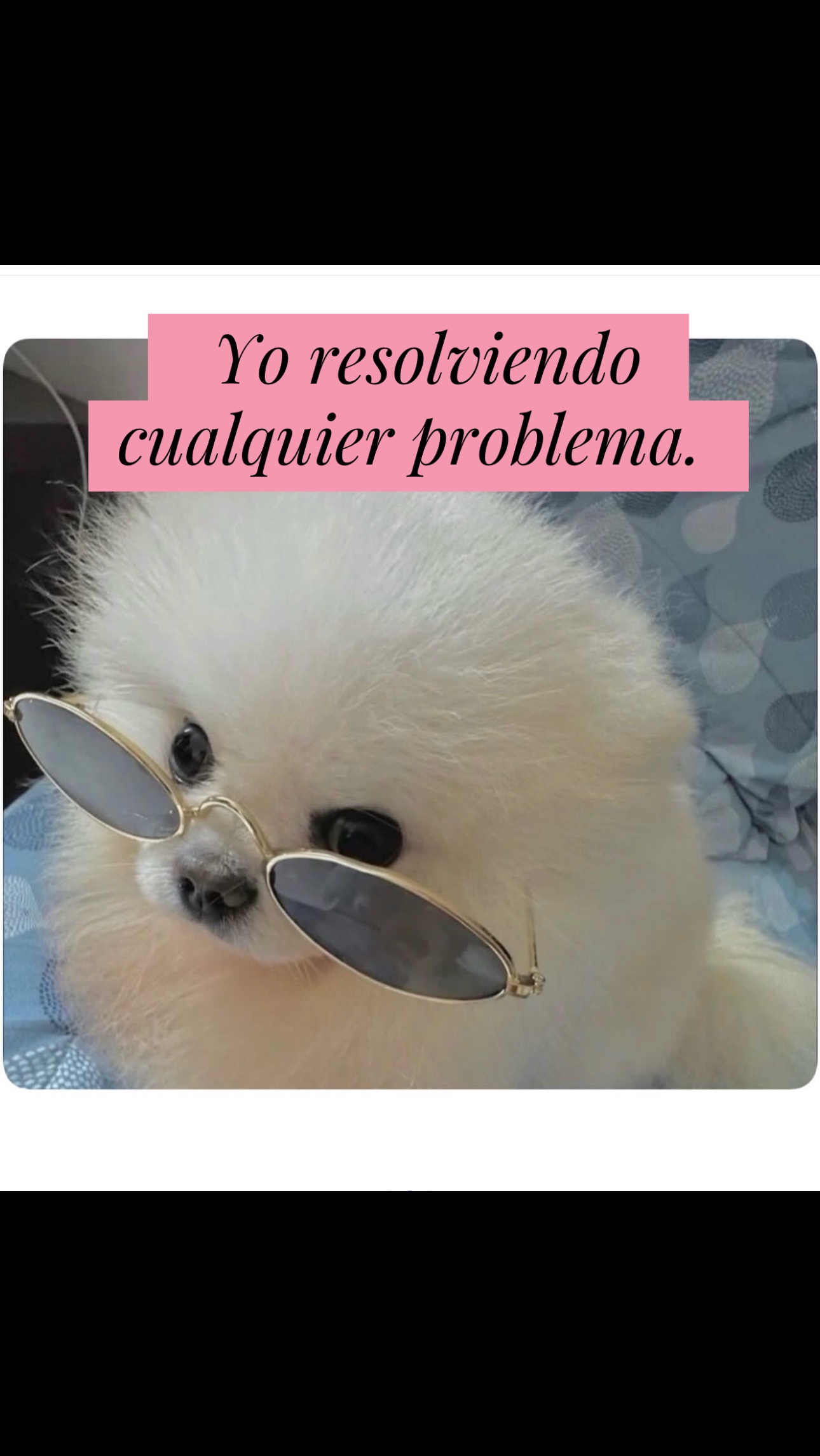 @️Angie Cast