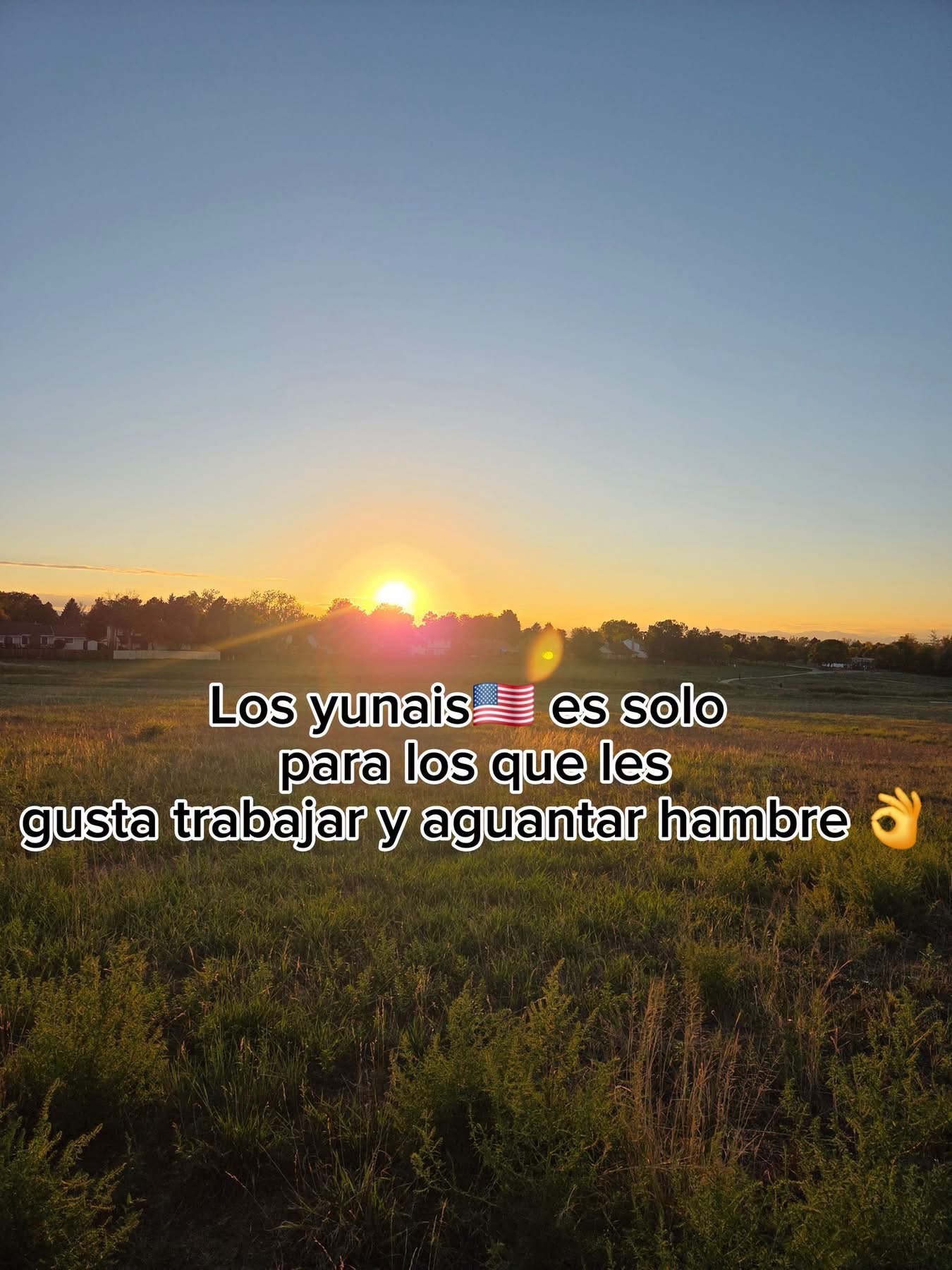 @Alma Baez295