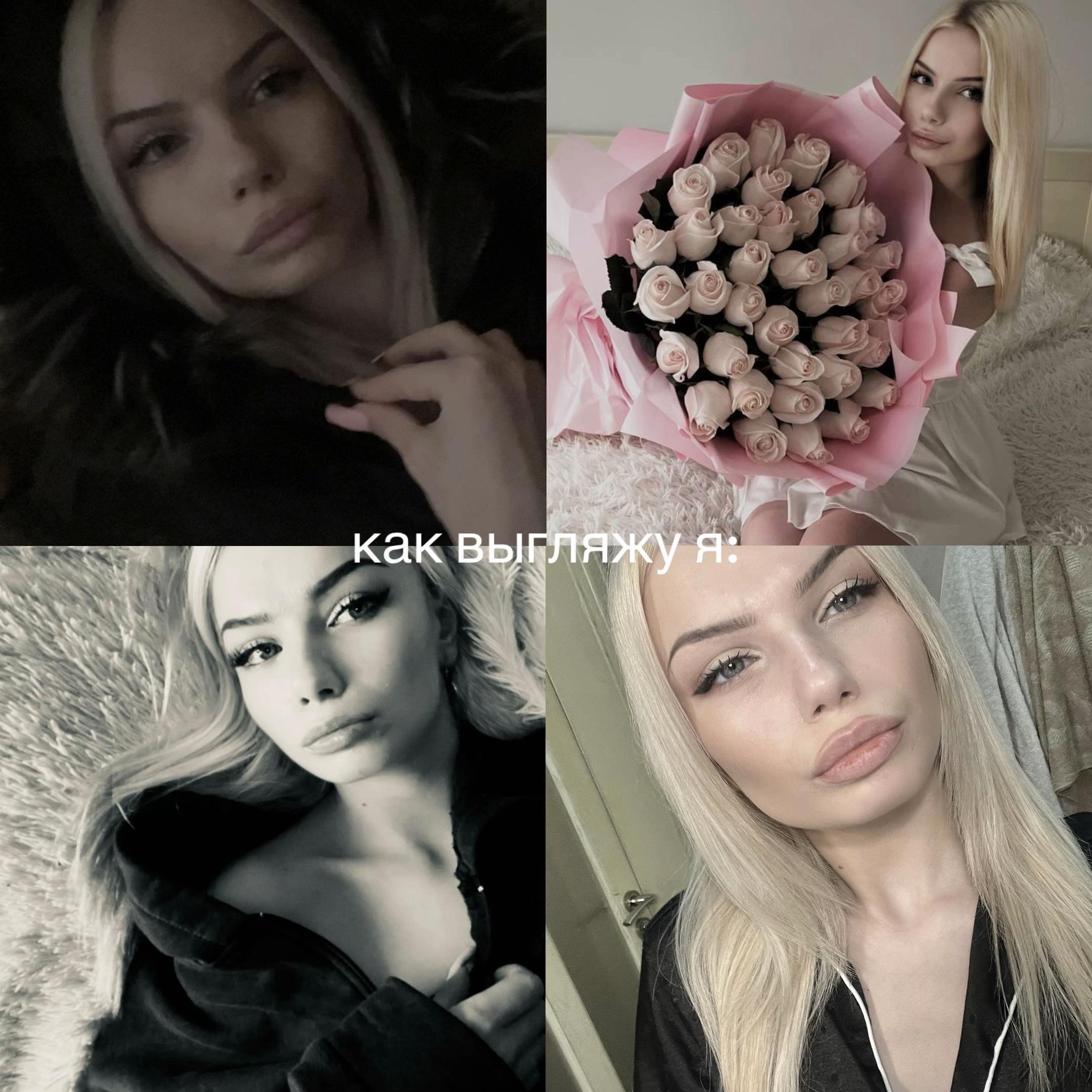 @чихуахуа