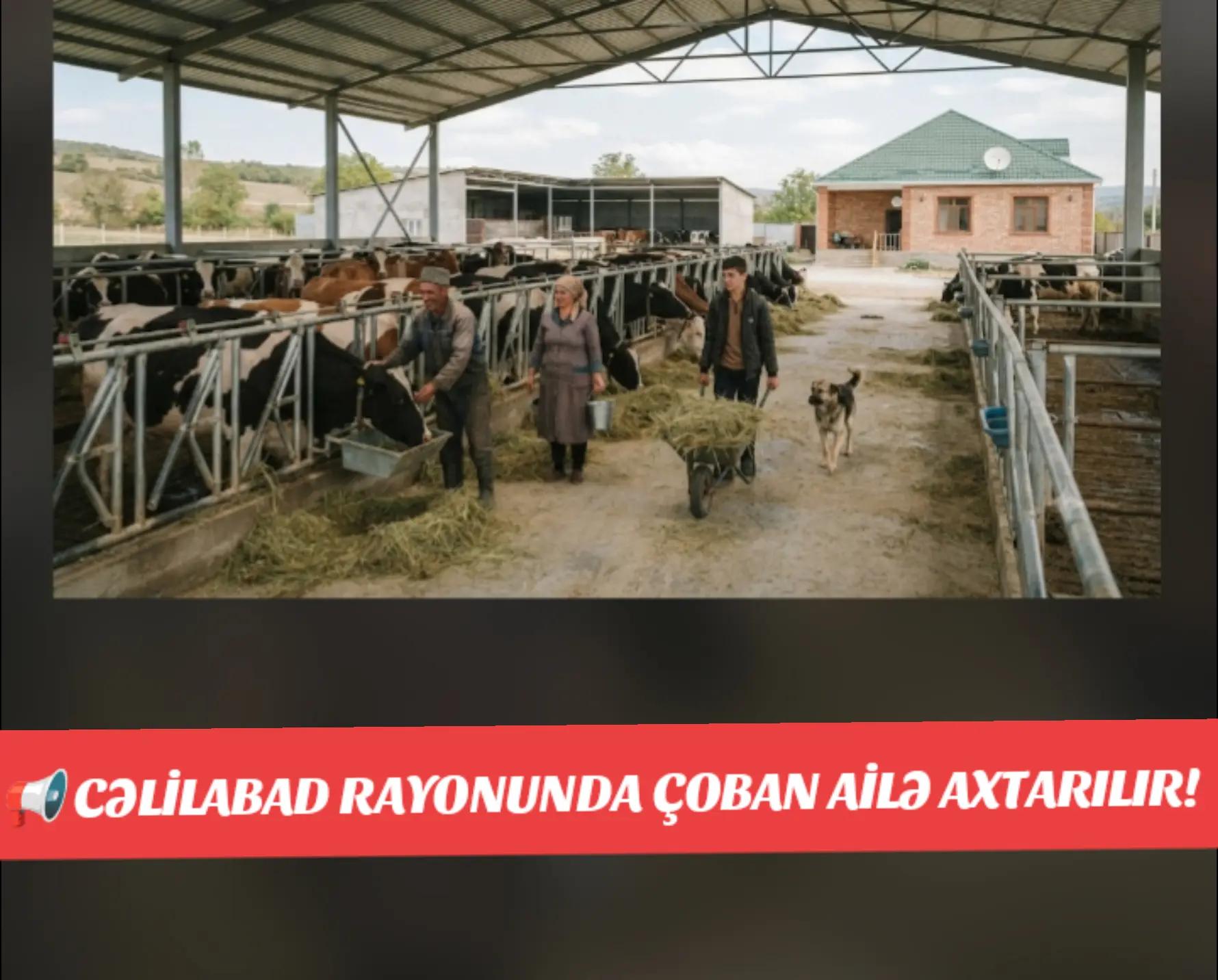 @Traktor_Aləmi