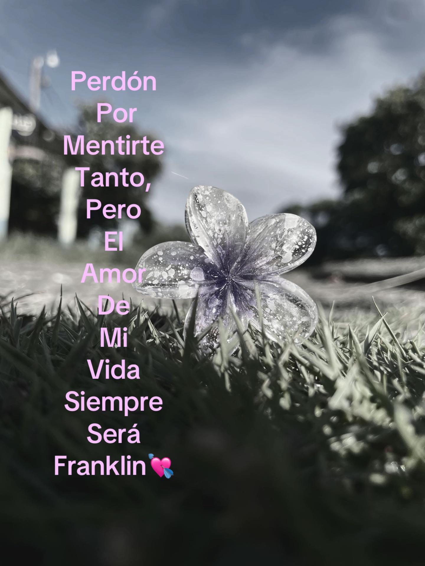 @𝓔𝓵𝔂.➳💔︎︎👤