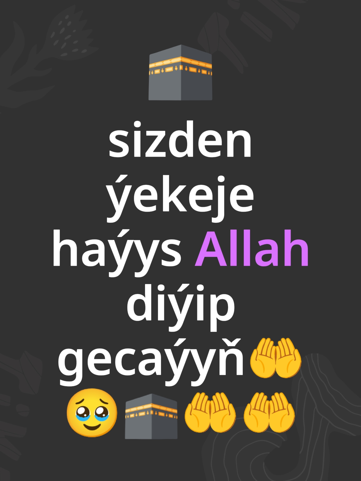 @HAMZA