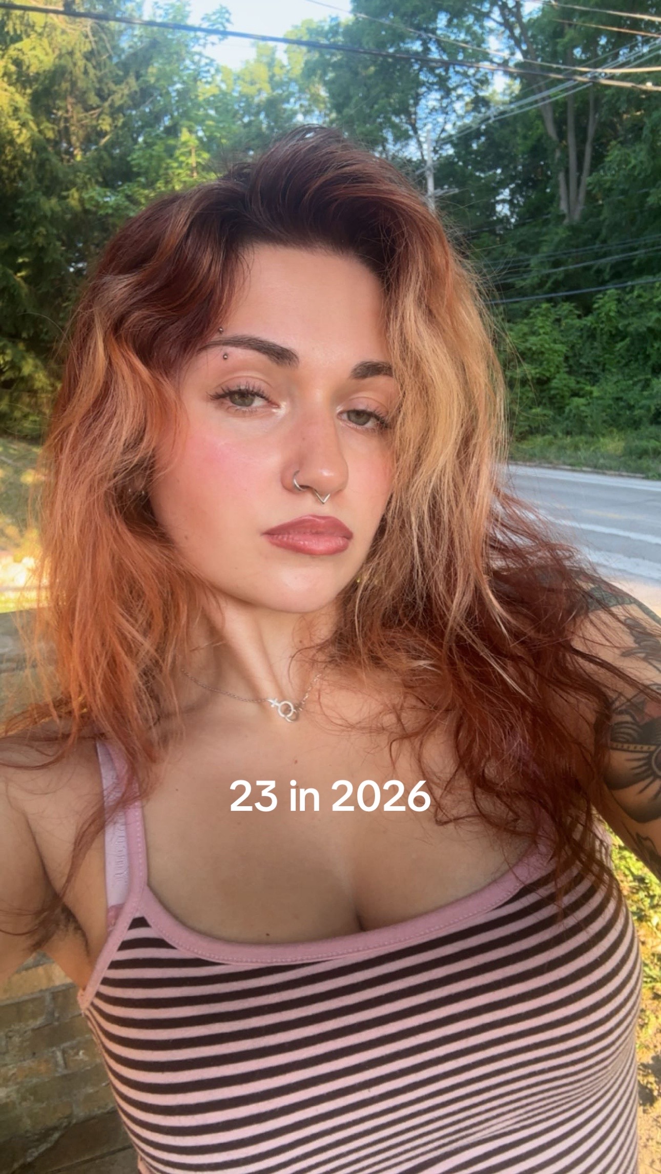 @🕊️
