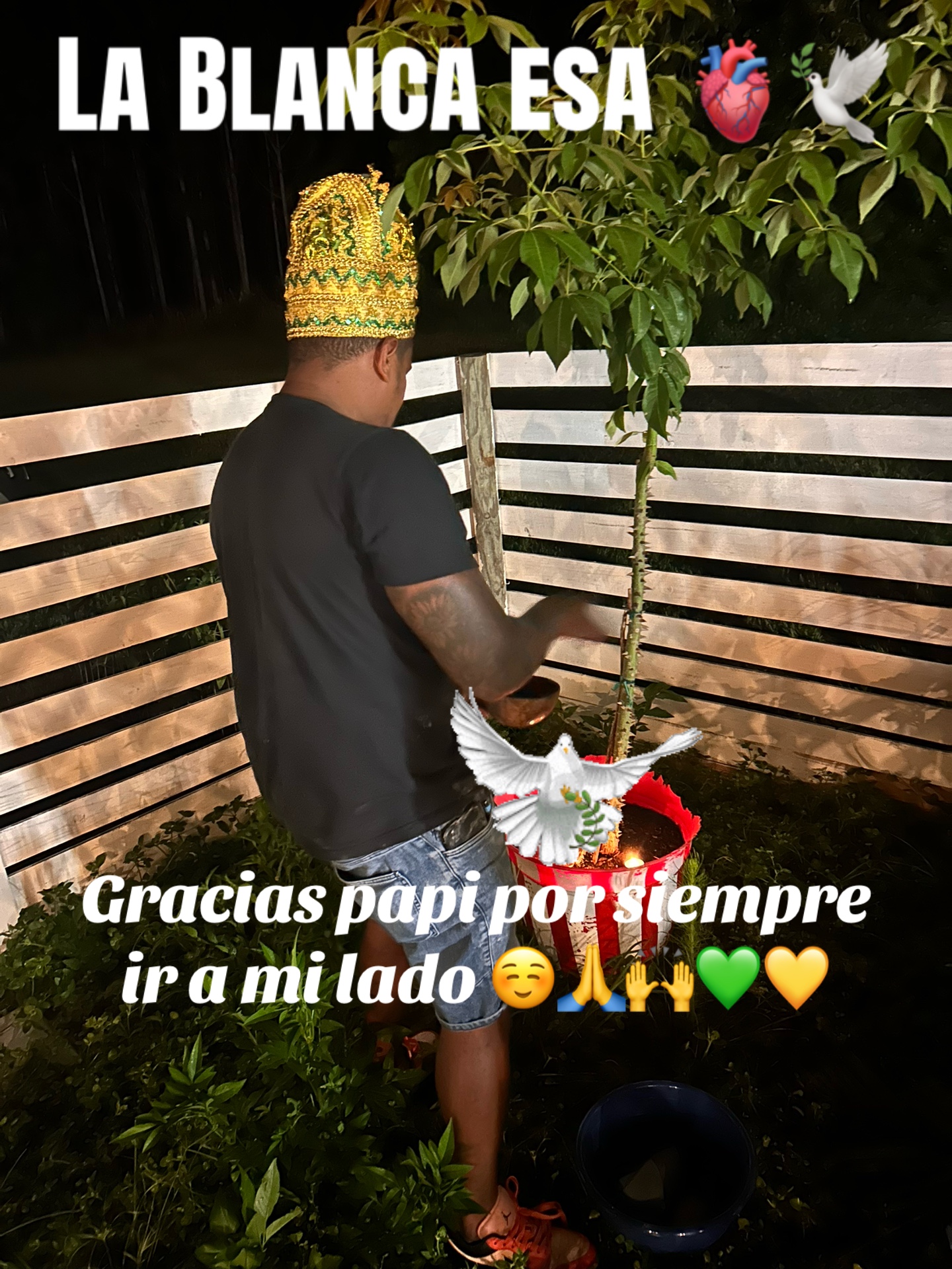 @Lacasadeeggun🤍🖤