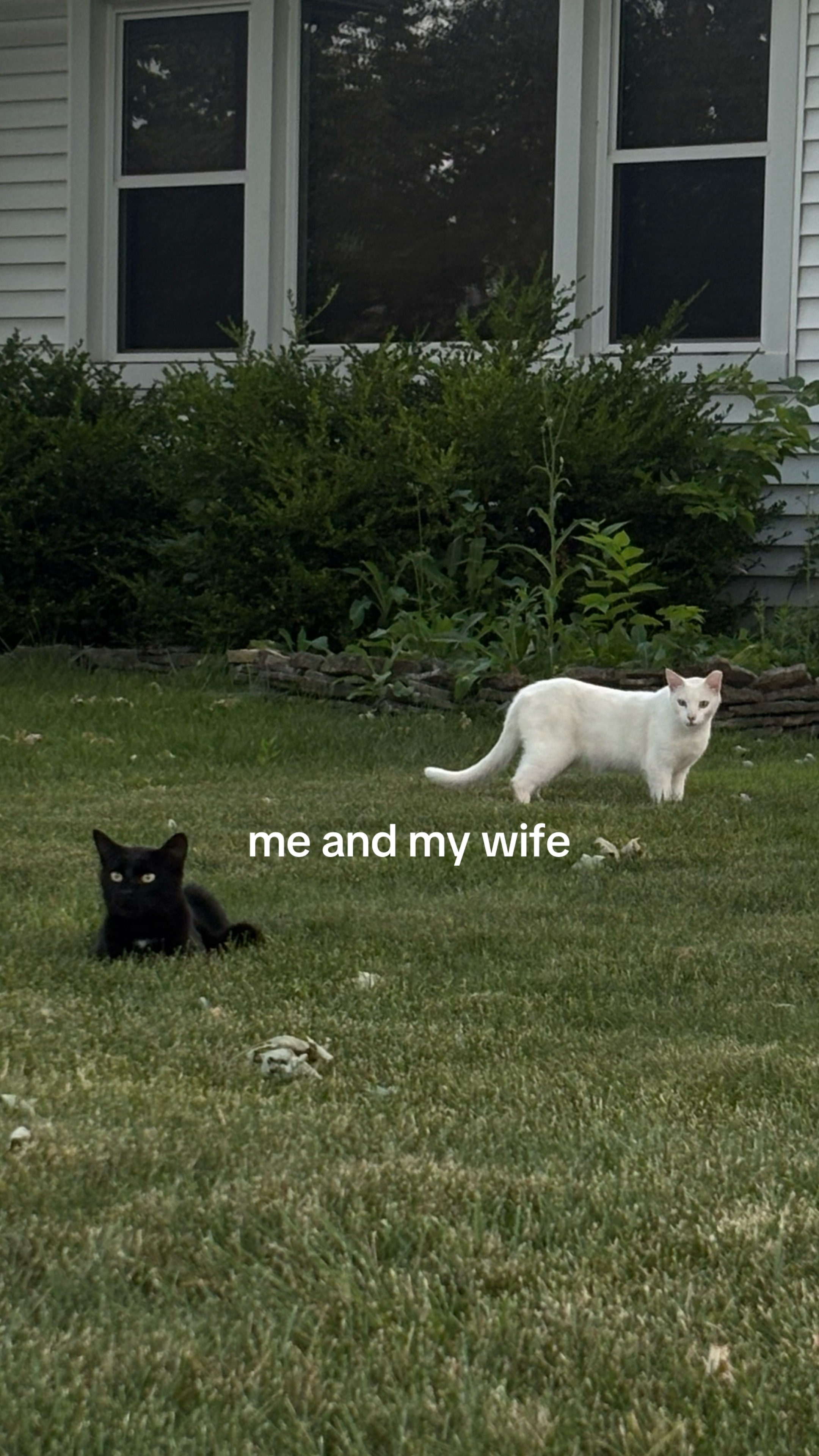 @em