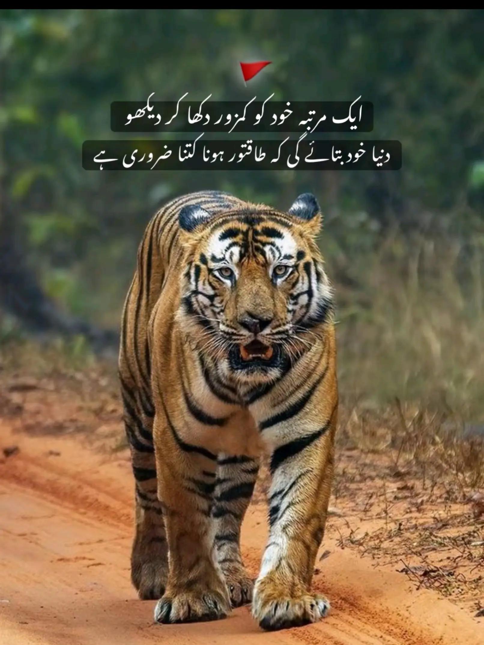 @👑☠️RaJpOoT❤️🔥گجرات آلا☠️👑