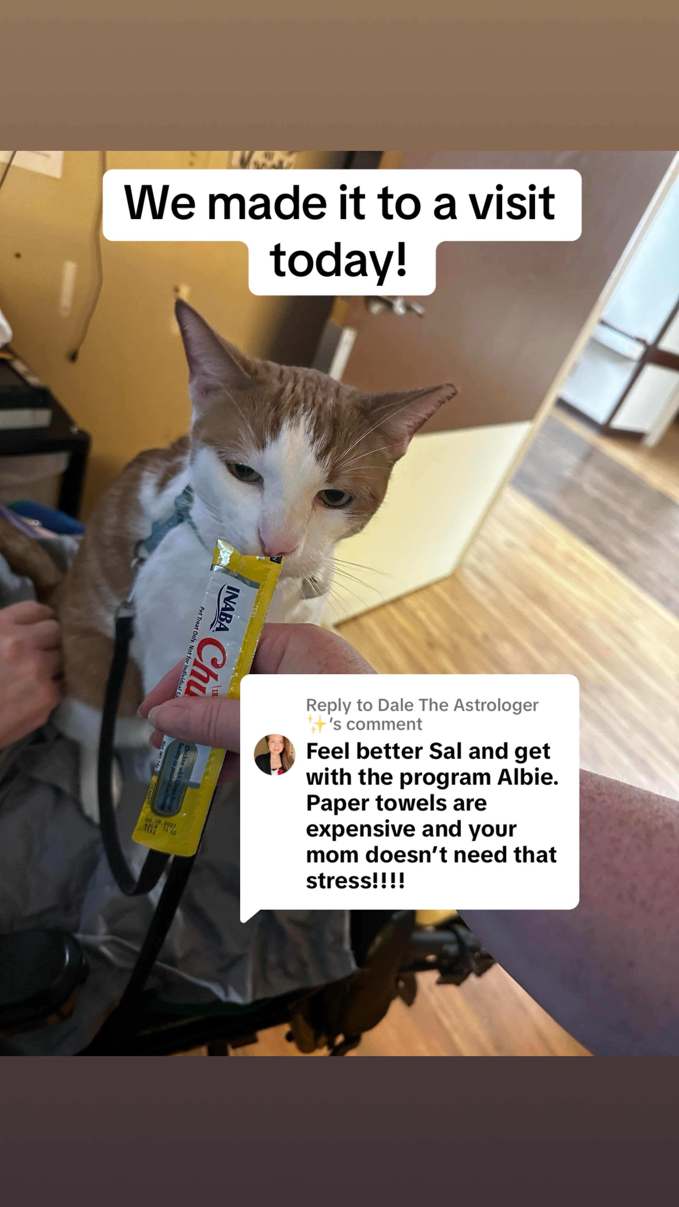 @Therapy Cat Roger & Family