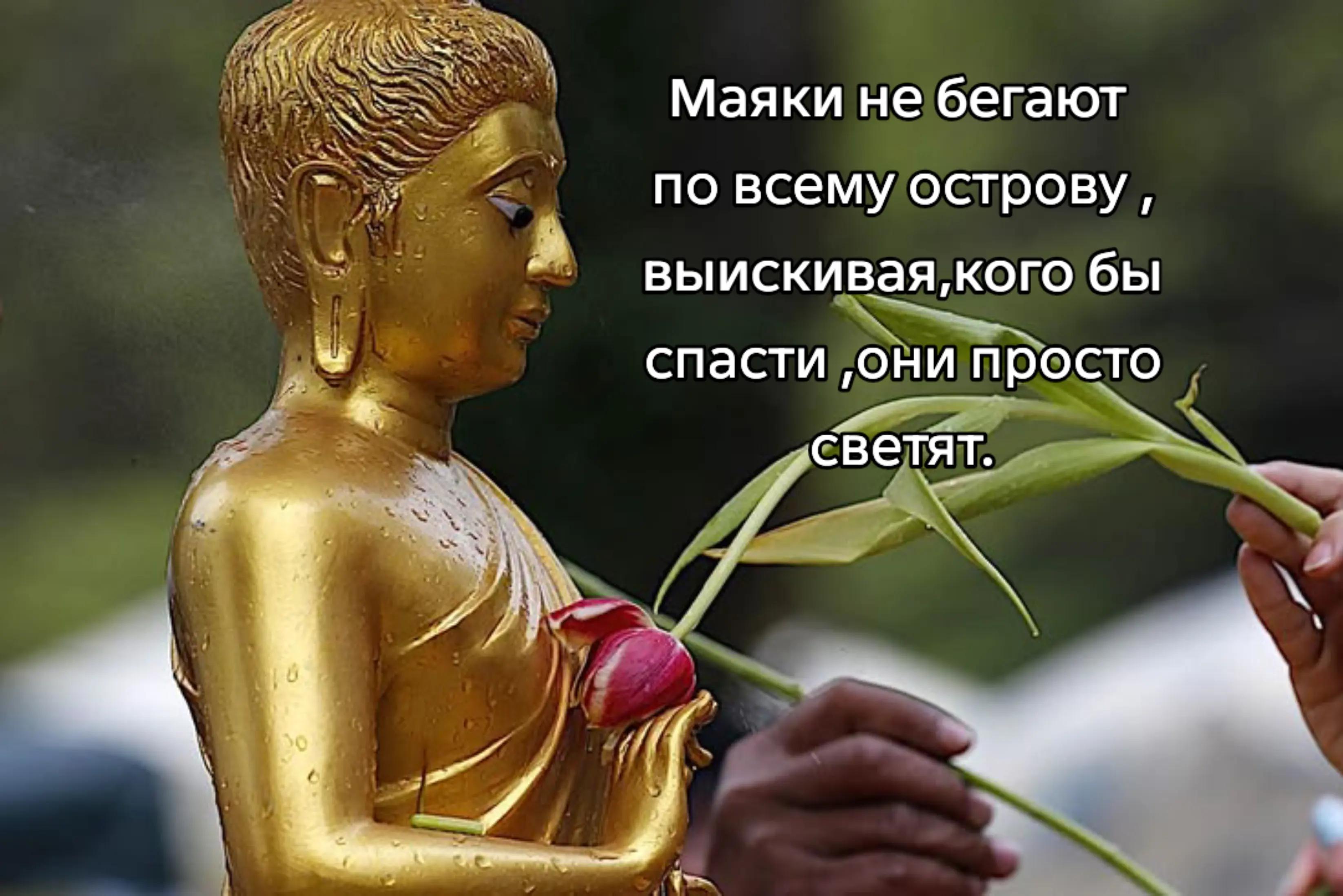 @тгк:𝕯𝖊𝖆𝖙𝖓𝖎𝖙𝖊