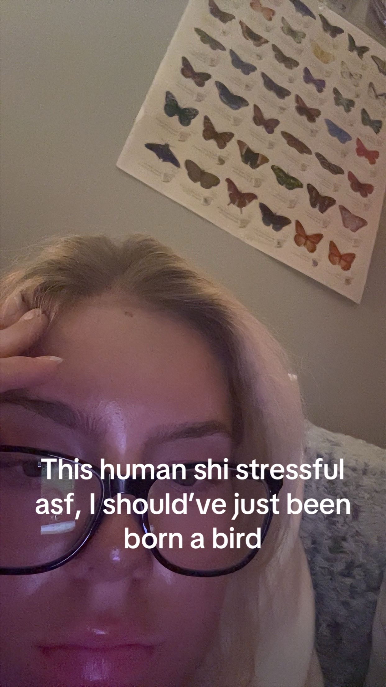 @phoebetarta