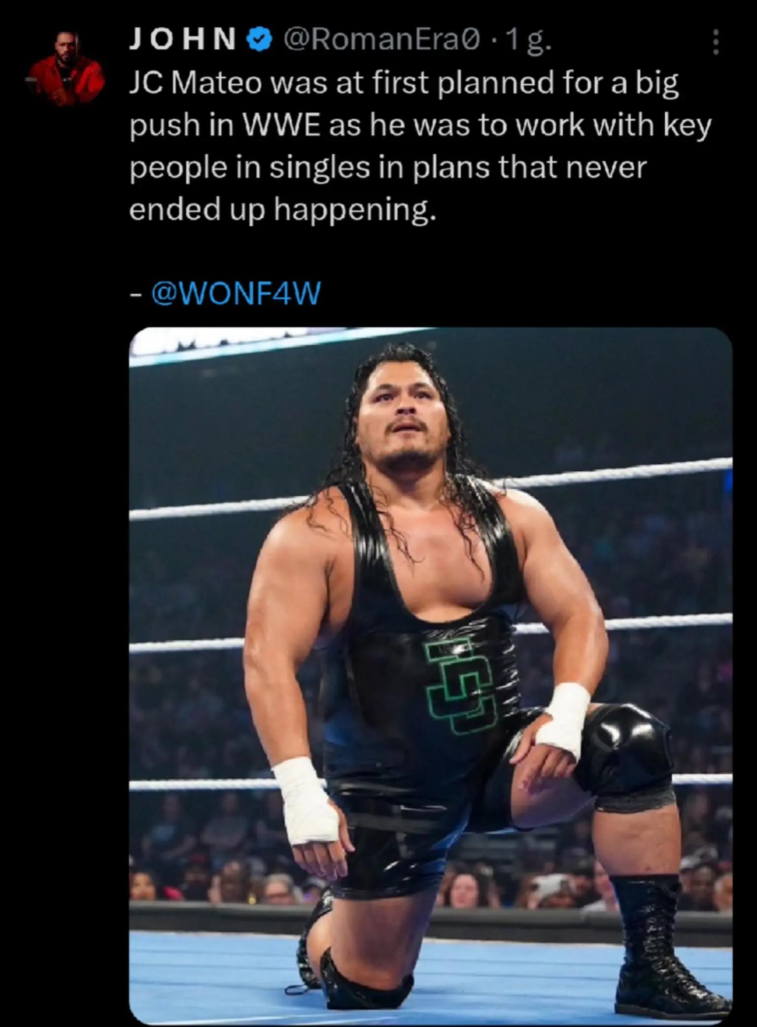 @wrestling fan