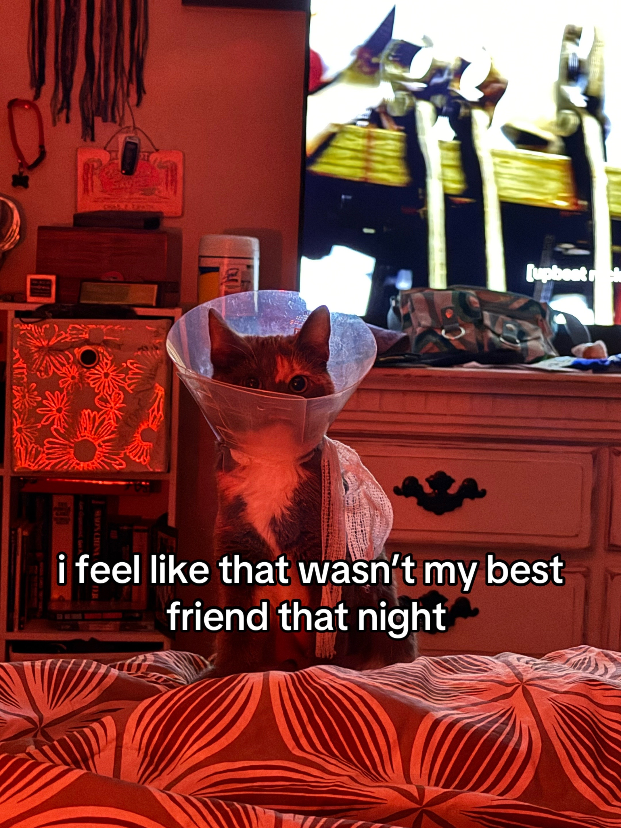 @Summer