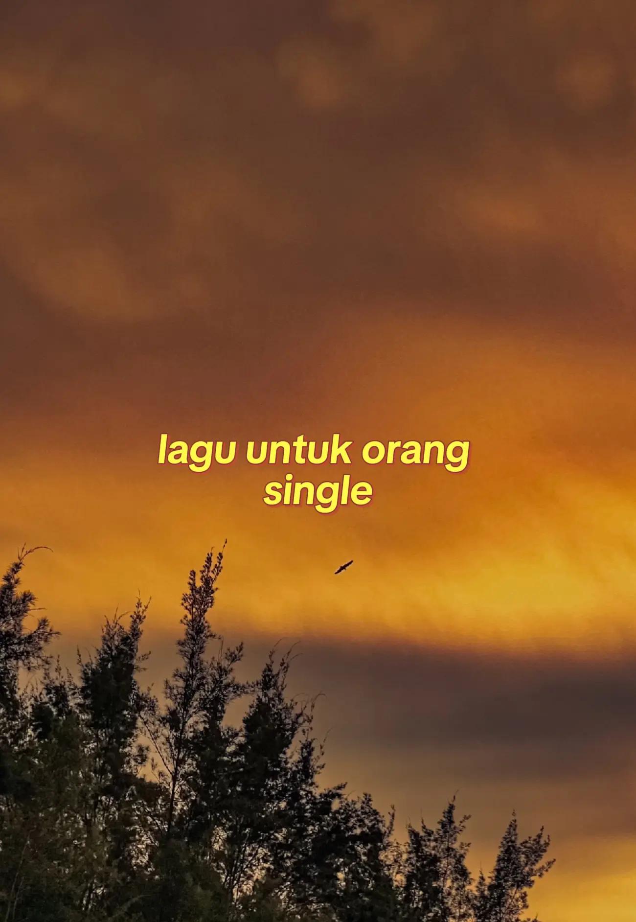 @A.BORI