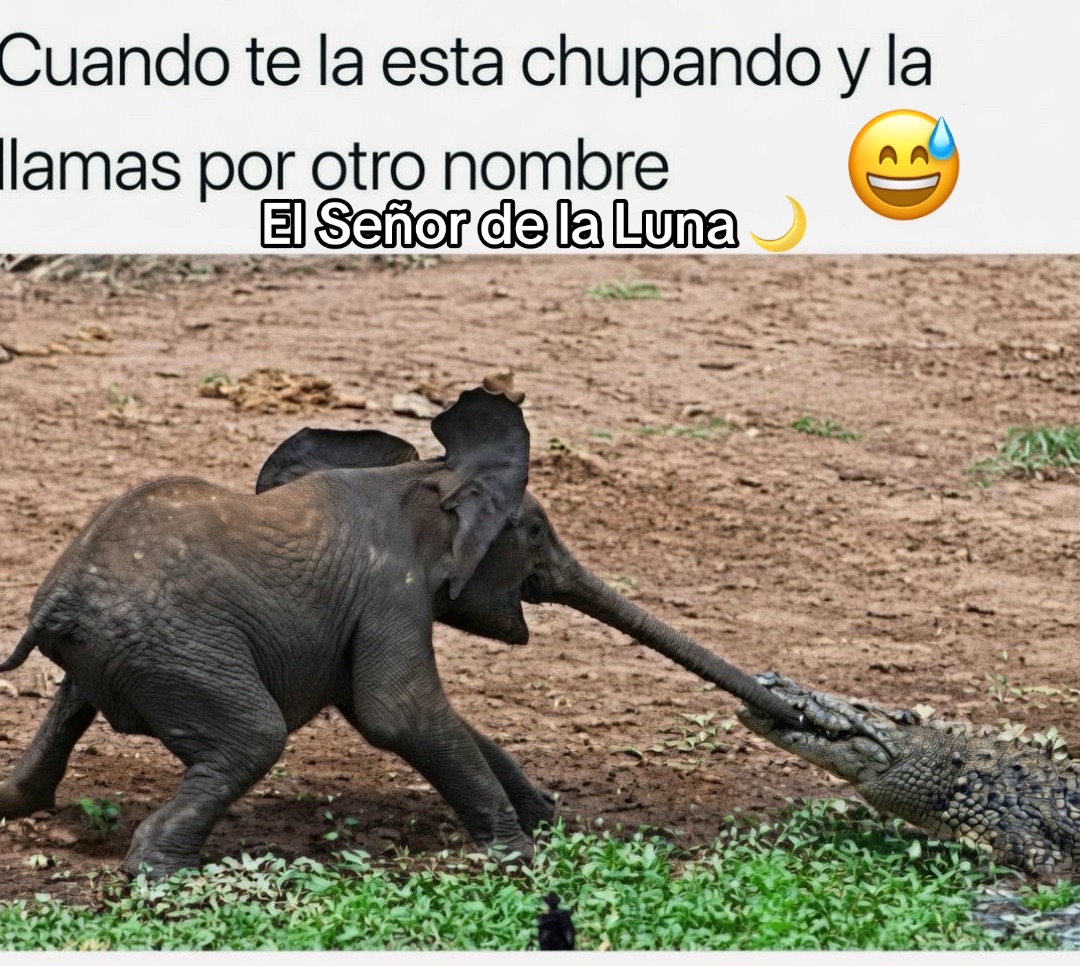 @El Se&ntilde;or De La Luna