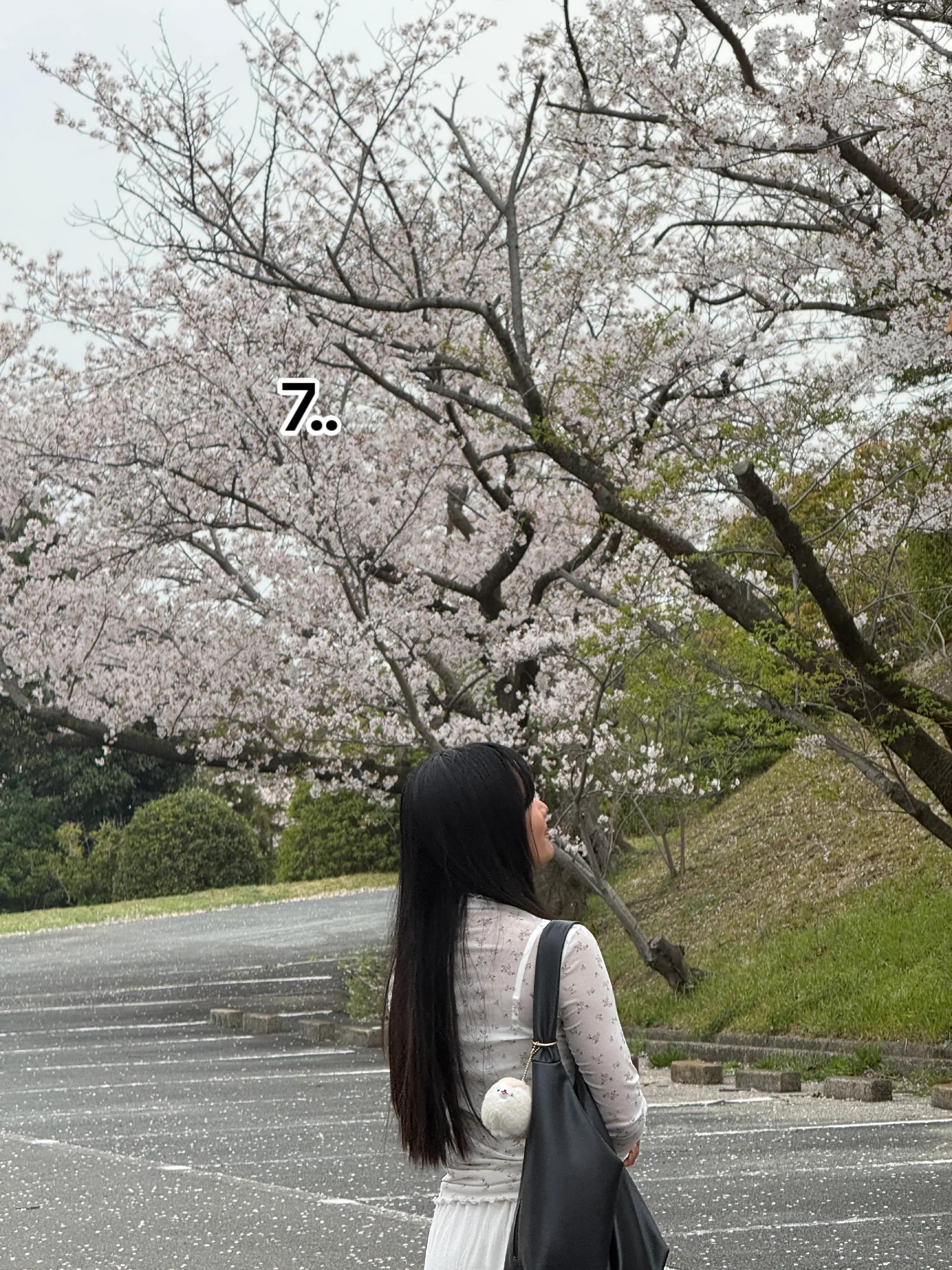 @マヤ☘️