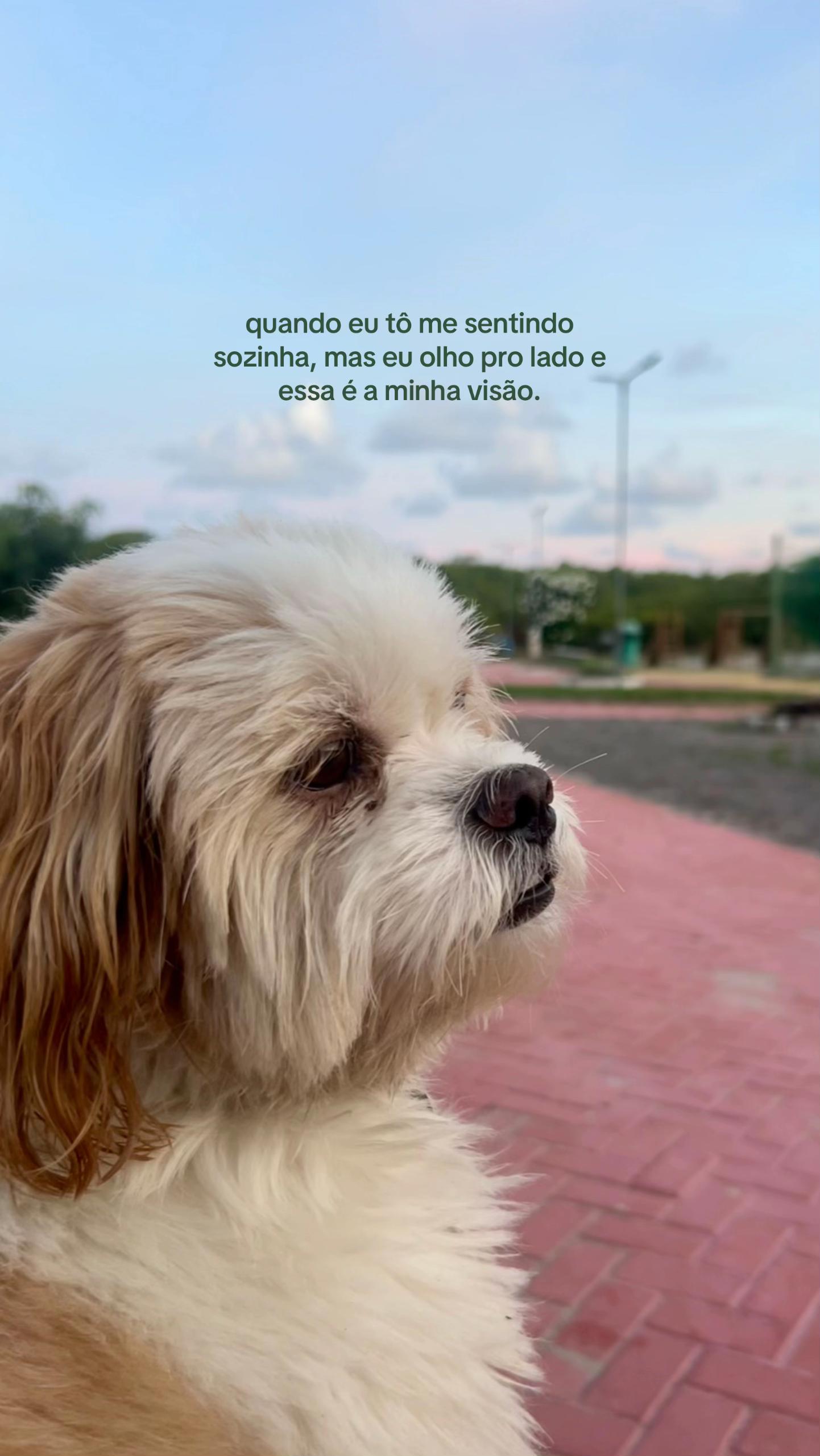 @🛴ohana