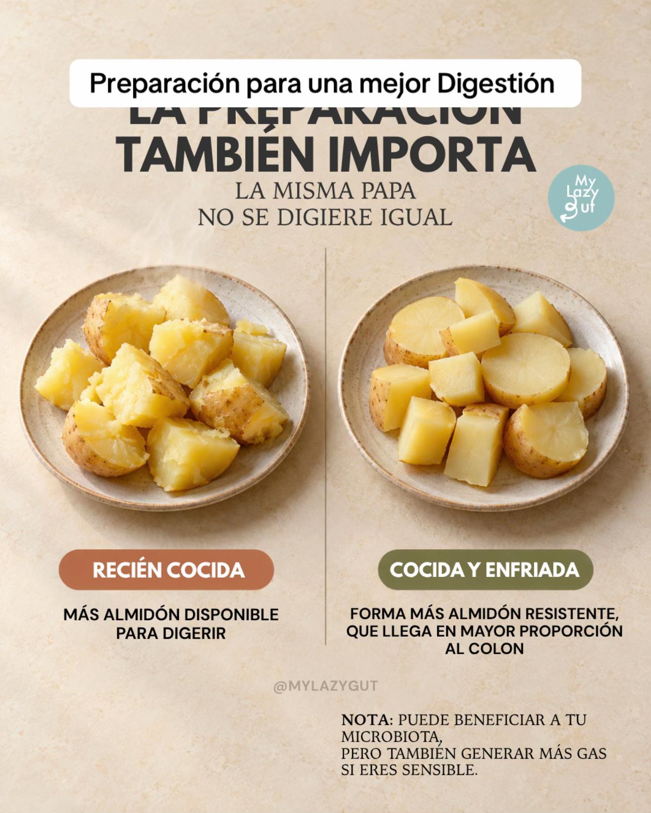 @Mylazygut/Digestión Saludable