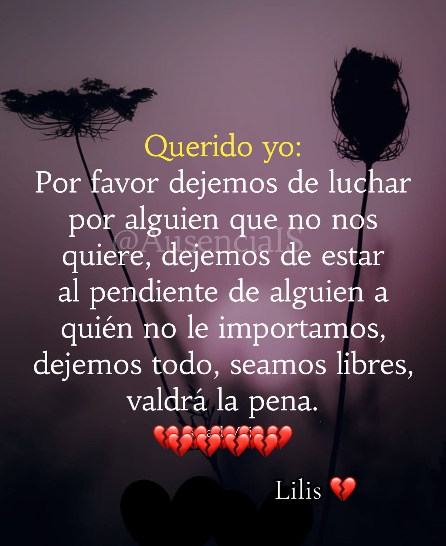 @🌹 Lili ❤️