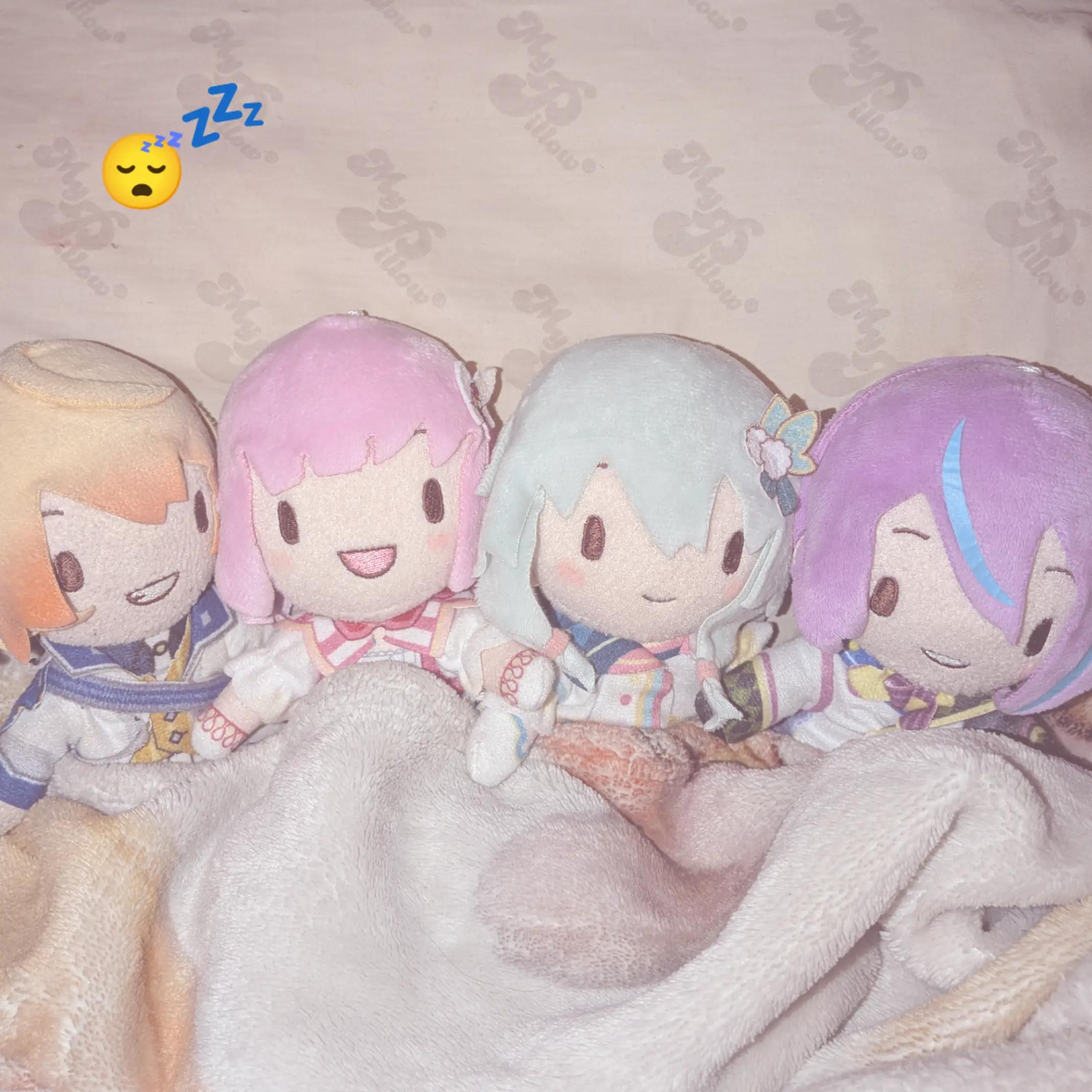 @box kasa🌟