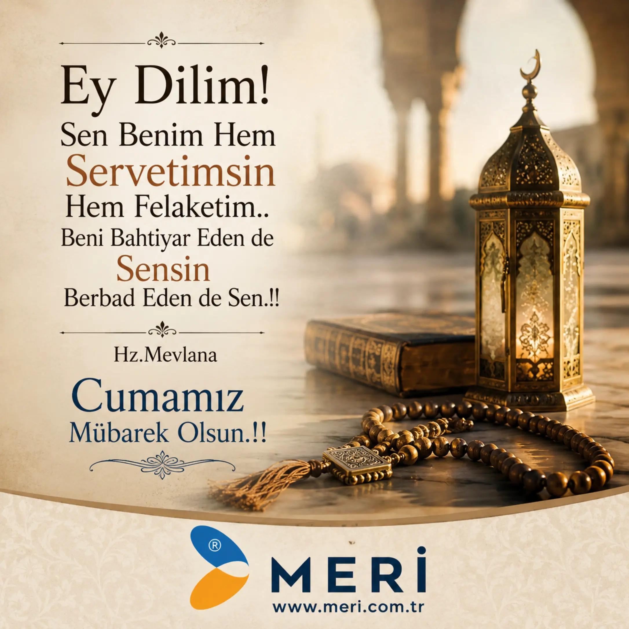 @Meri Sineklik İsmail Kurt