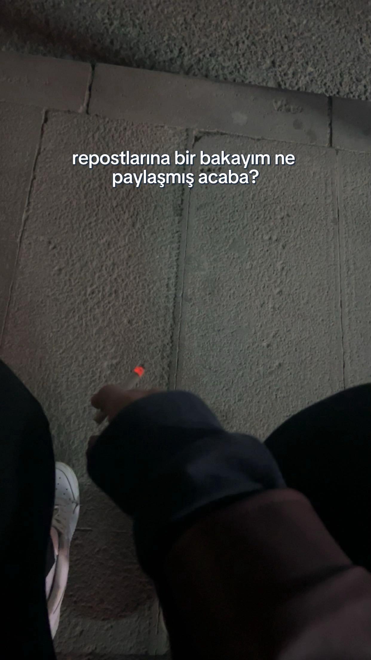 @🐅