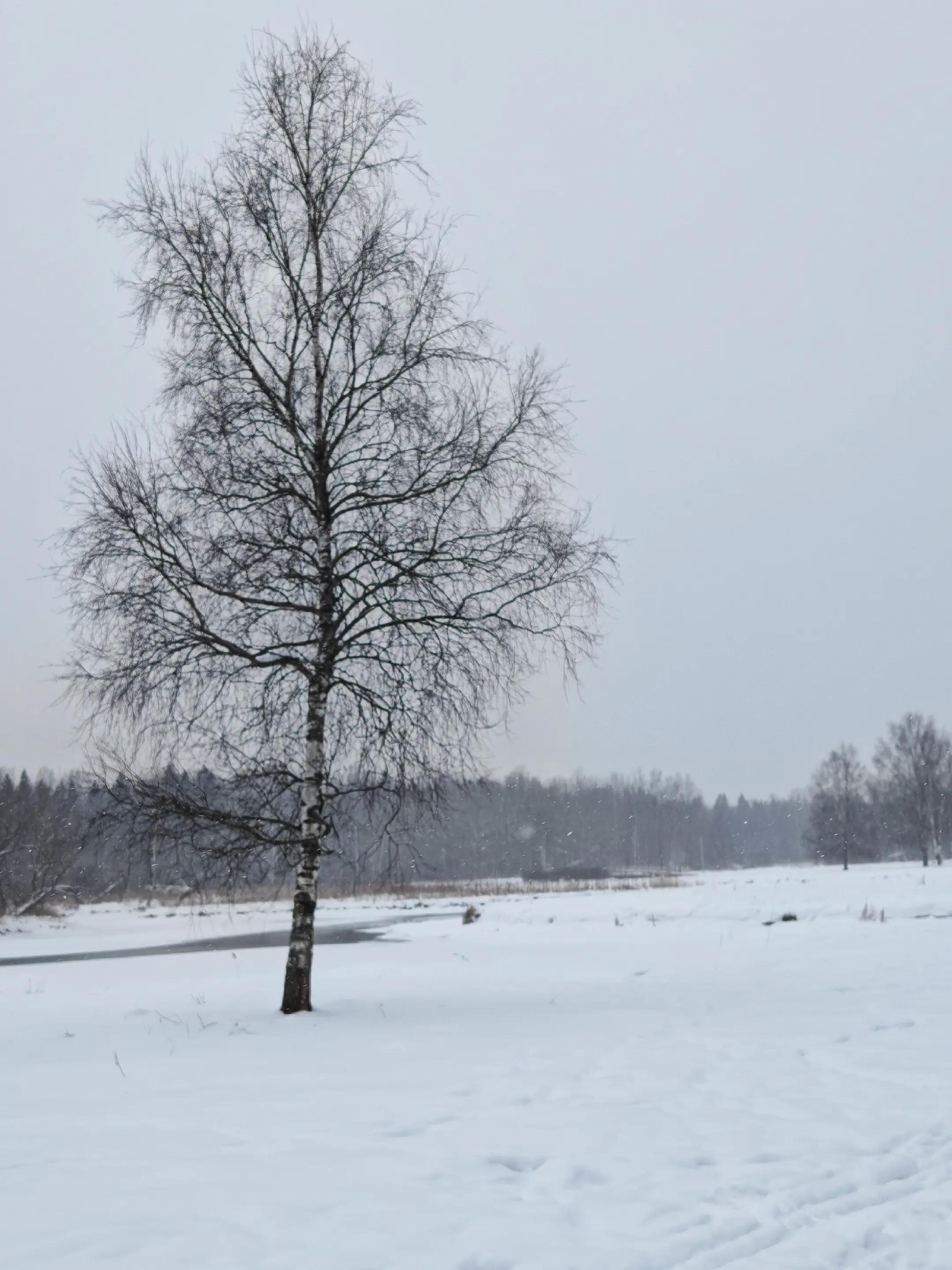 @кирилл