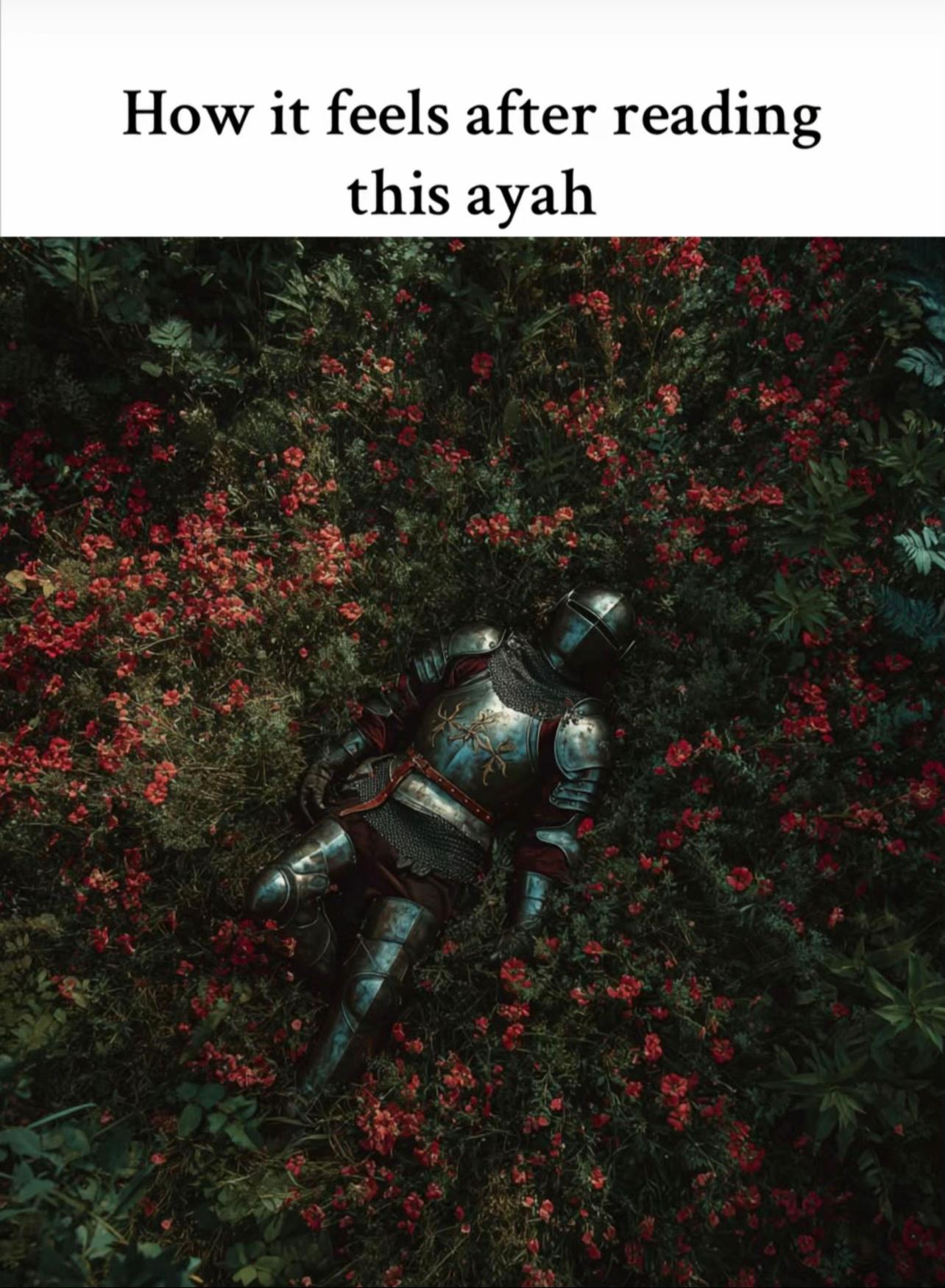 @englishtranslatedquran