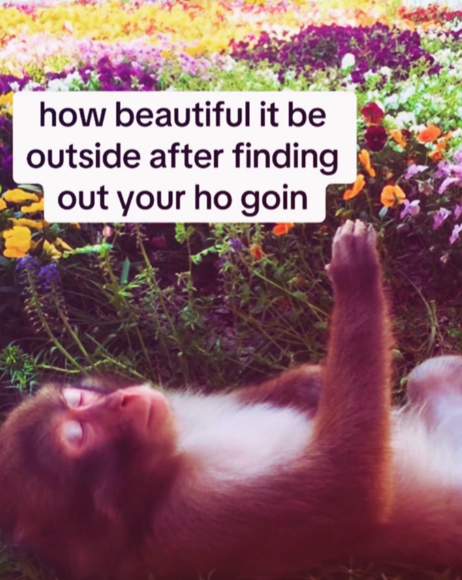 @realest