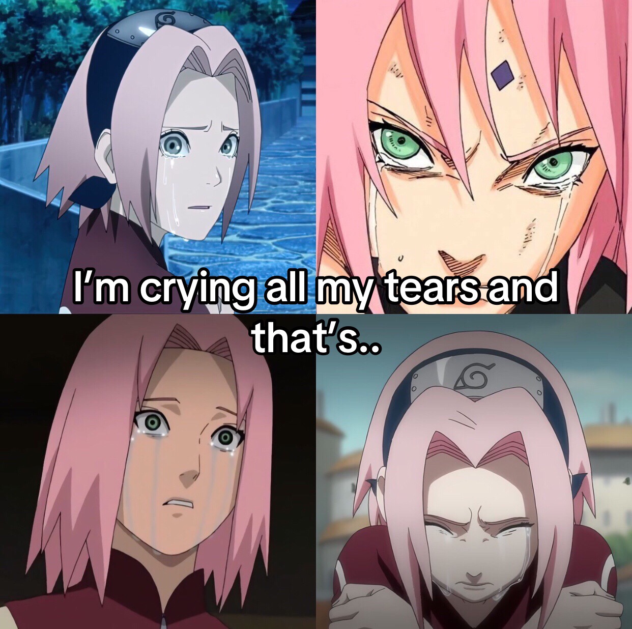 @𝒜𝓌𝒶 (𝓈𝒶𝓀𝓊𝒽𝒾𝓃𝒶🌸🌙)