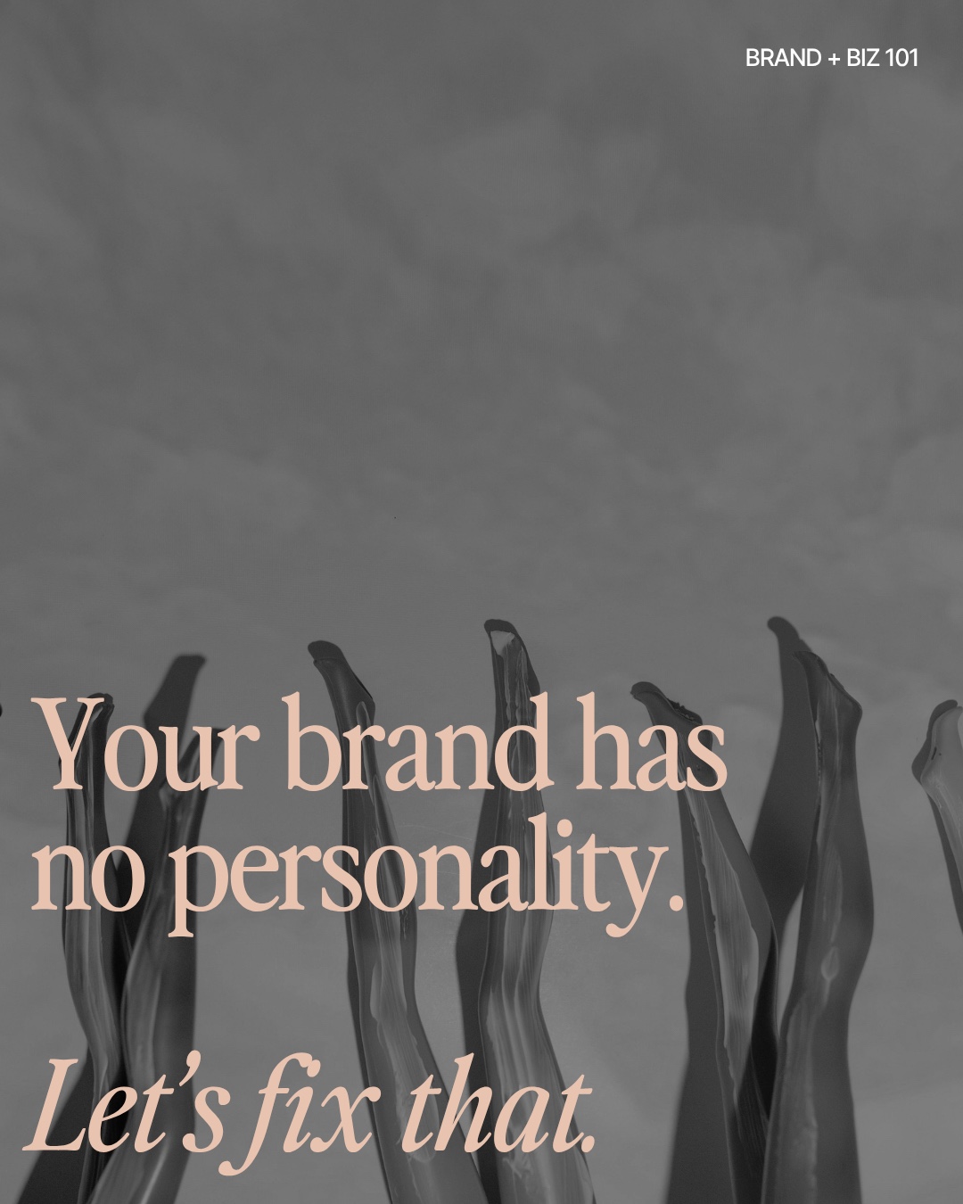 @Anja | your brand strategist ✨
