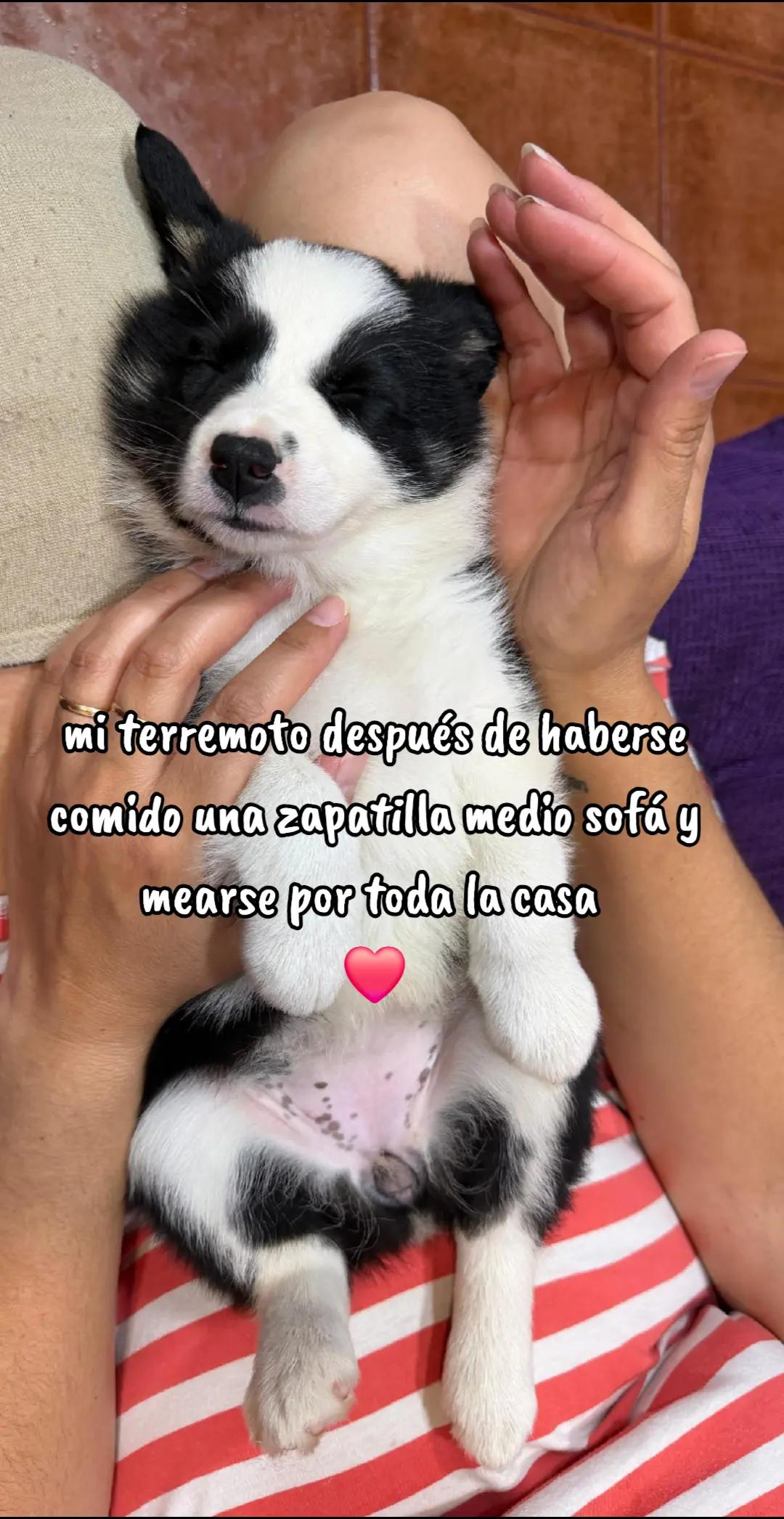 @martuky😜