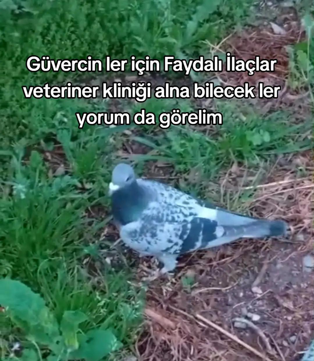 @YARIŞ POSTASI