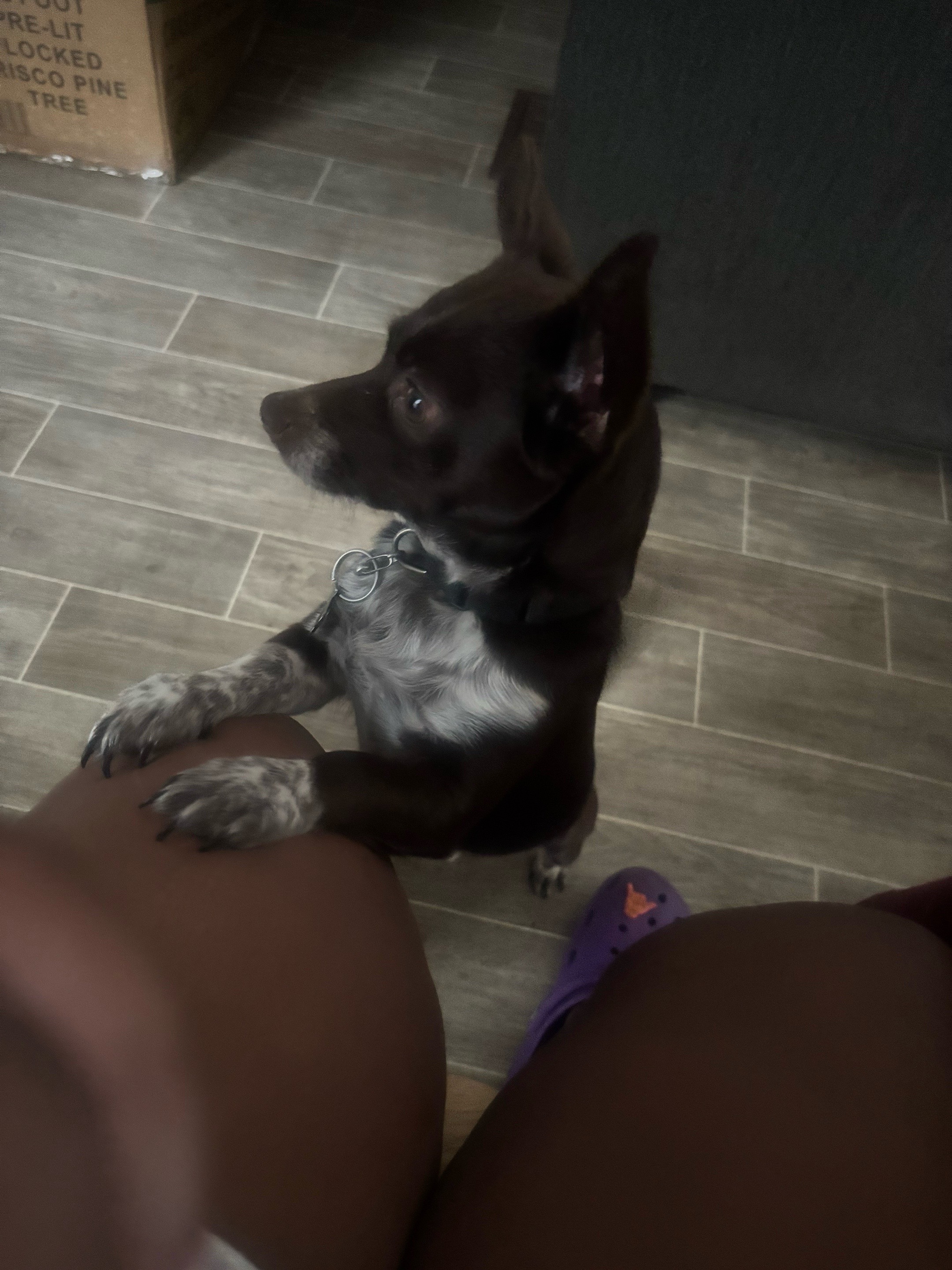 @👸🏾