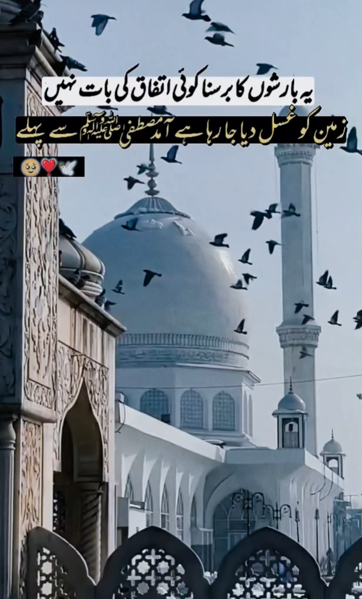 @Vibe_Master_Umar🇵🇰🪖