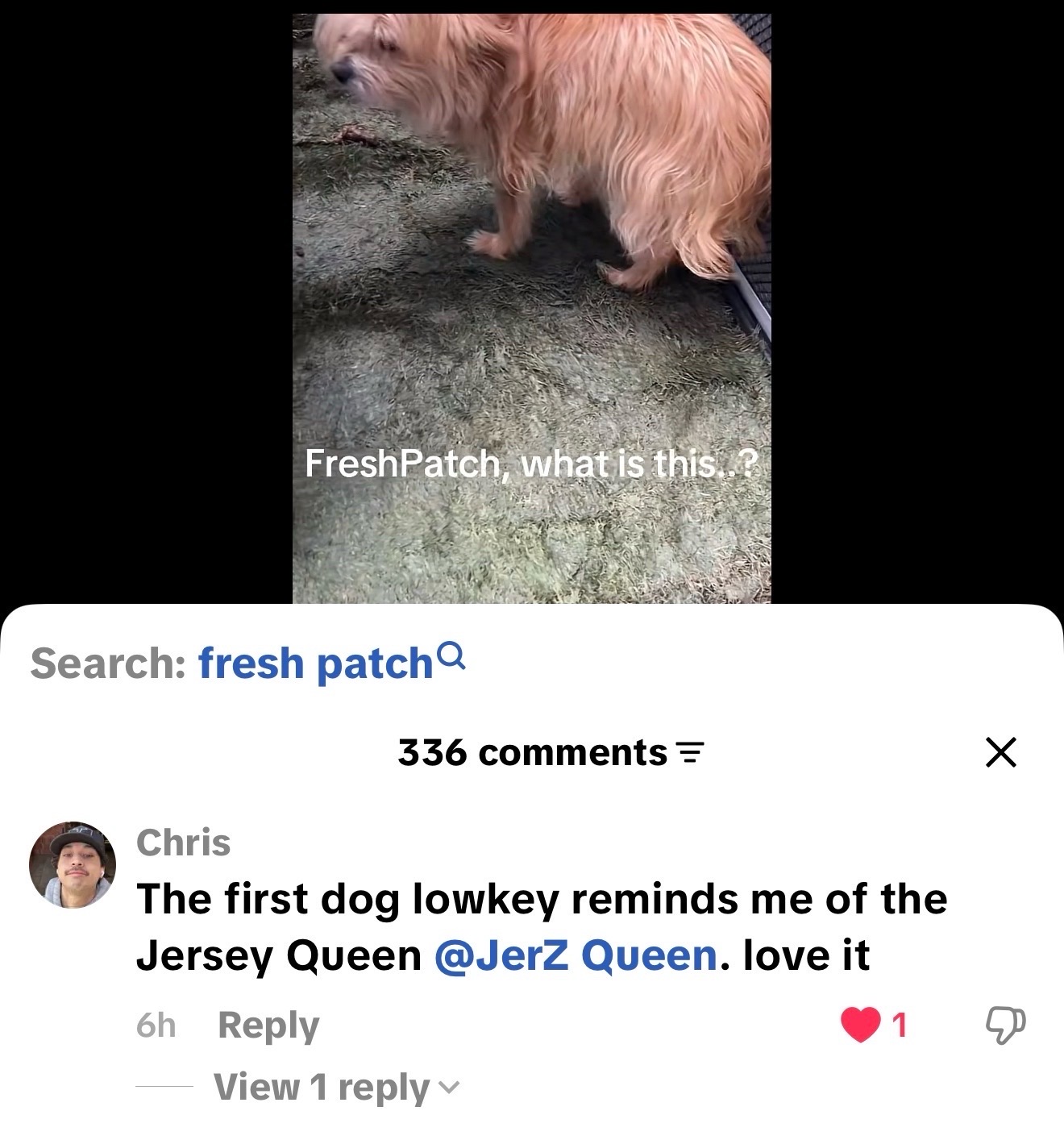 @JerZ Queen