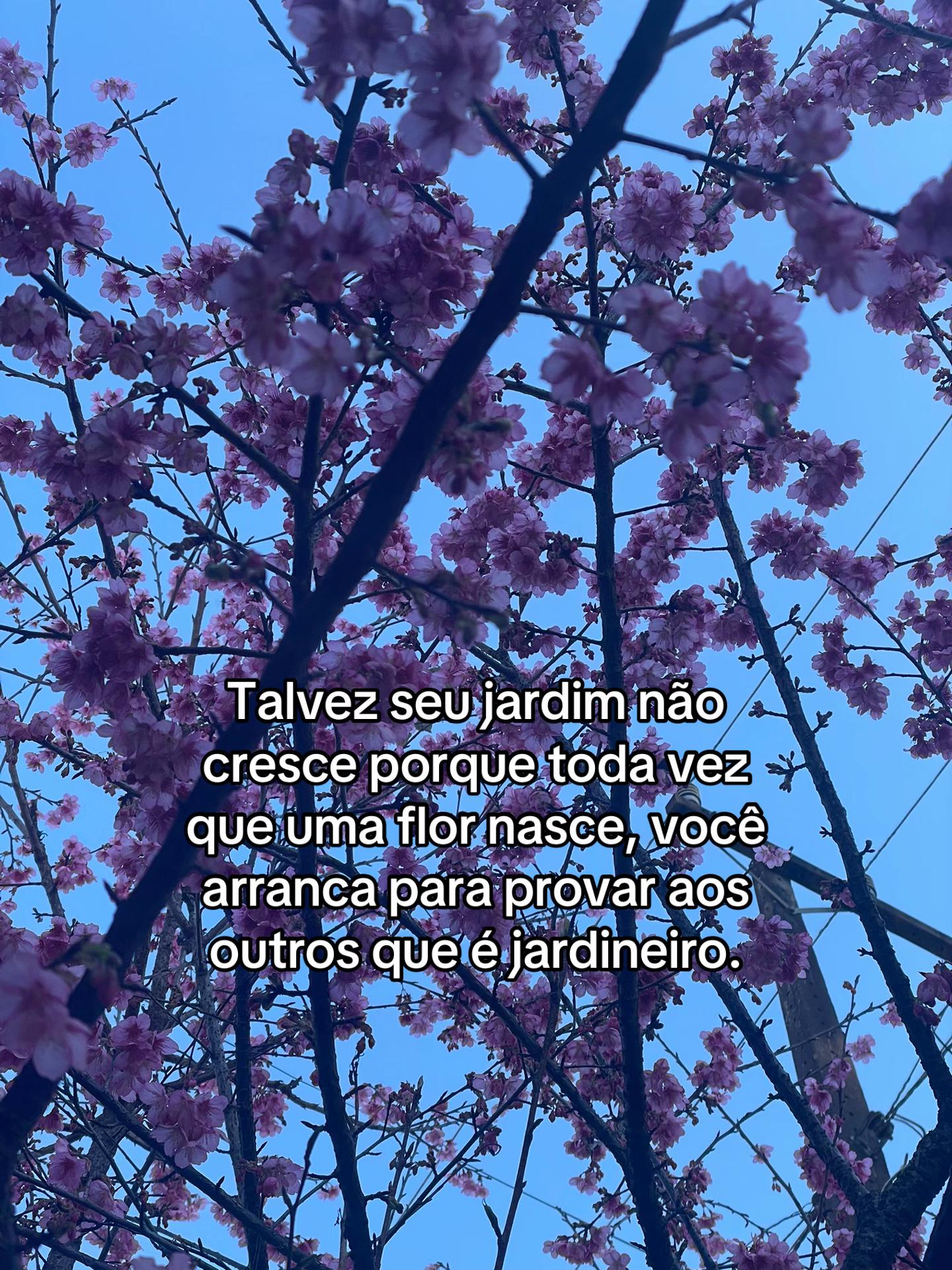 @Flavinha🌹💀
