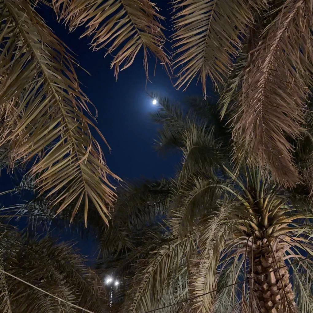 @شيماء